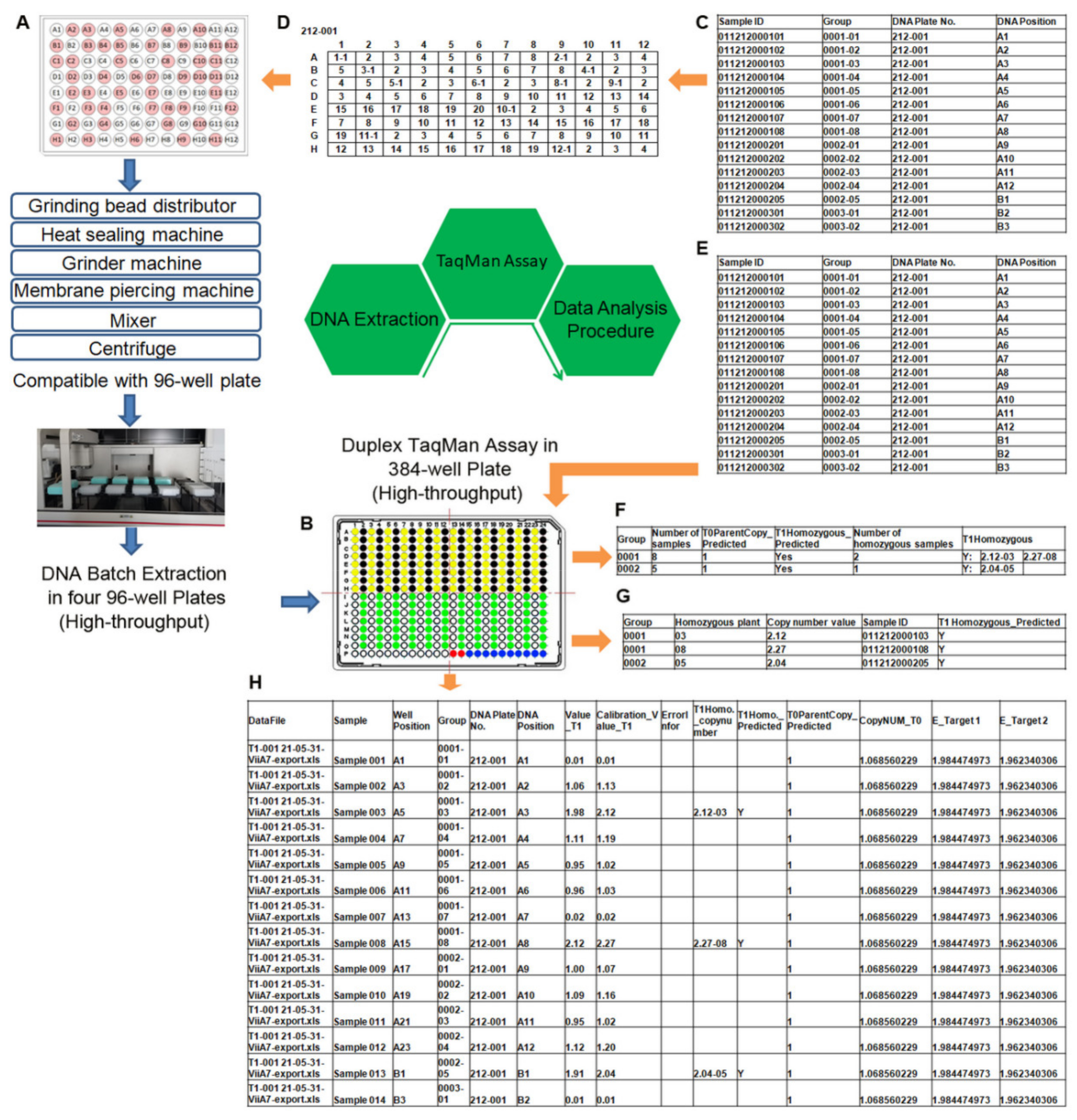 Ijms 22 12487 g003 Ijms 22 12487 g003