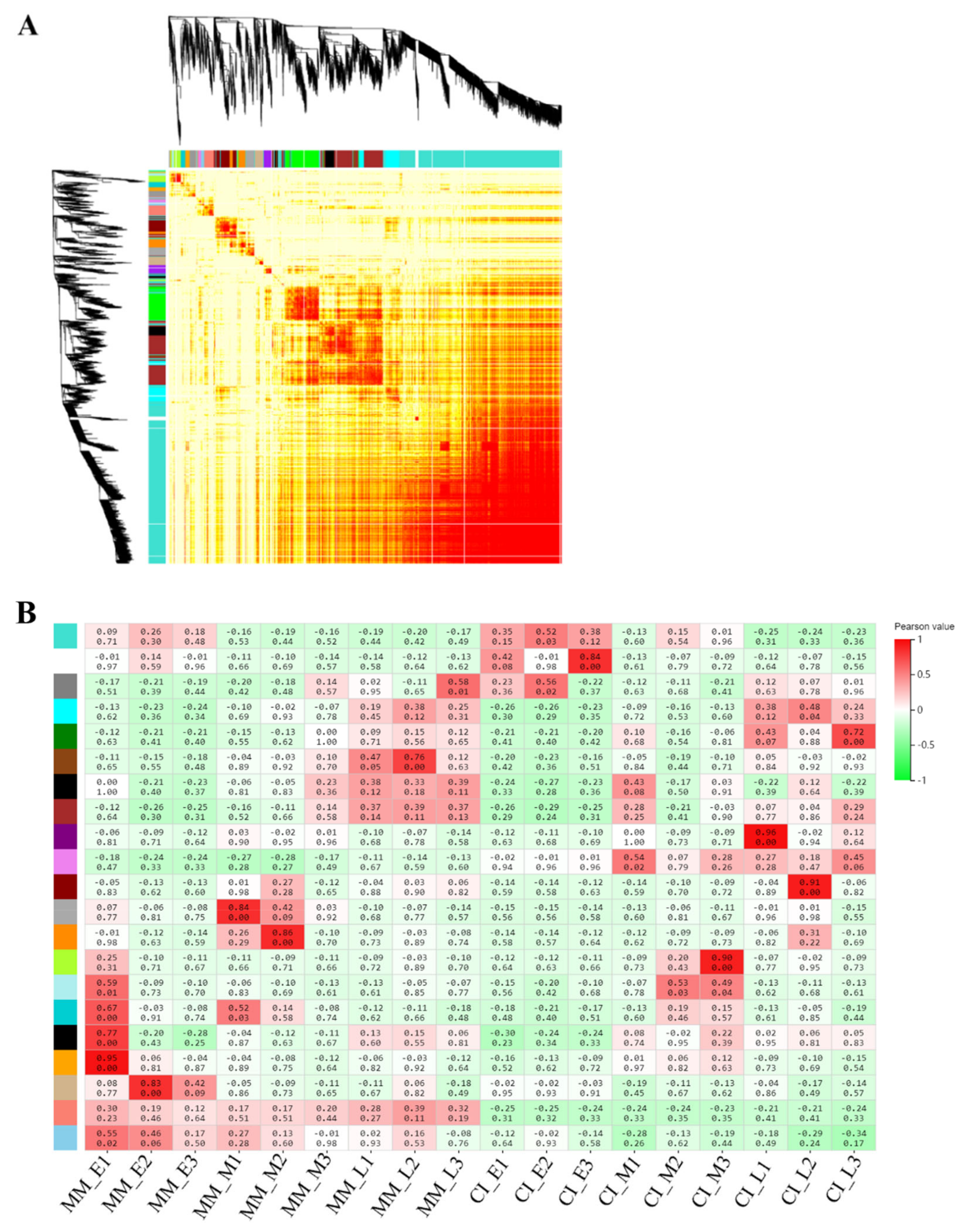 IJMS | Free Full-Text | Comparative Genome Analysis of Genes