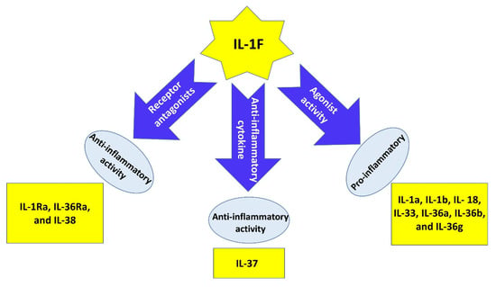 Interleukin-38 ameliorates poly(I:C) induced lung inflammation: therapeutic  implications in respiratory viral infections