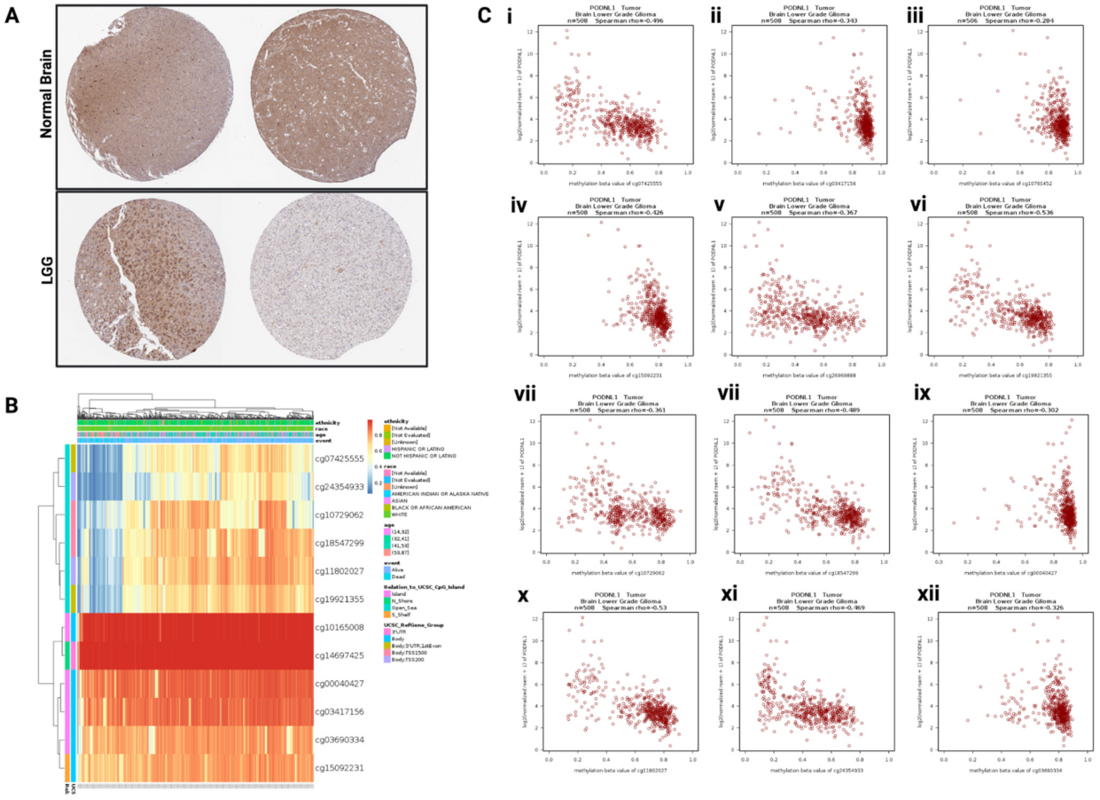 Ijms 22 12572 g001 Ijms 22 12572 g001