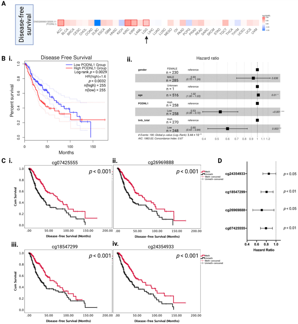 Ijms 22 12572 g002 Ijms 22 12572 g002