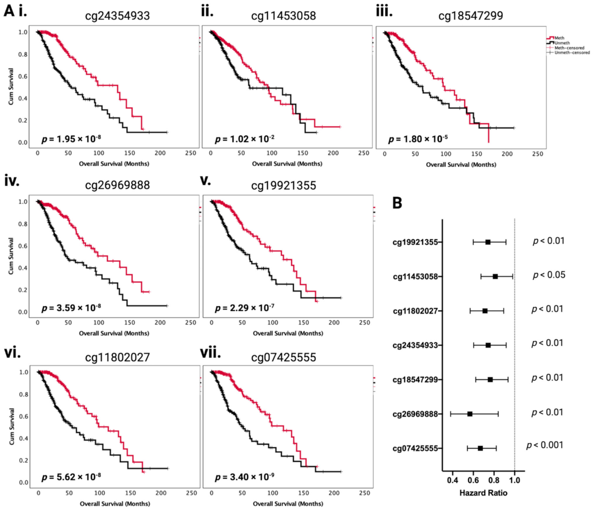 Ijms 22 12572 g003 Ijms 22 12572 g003
