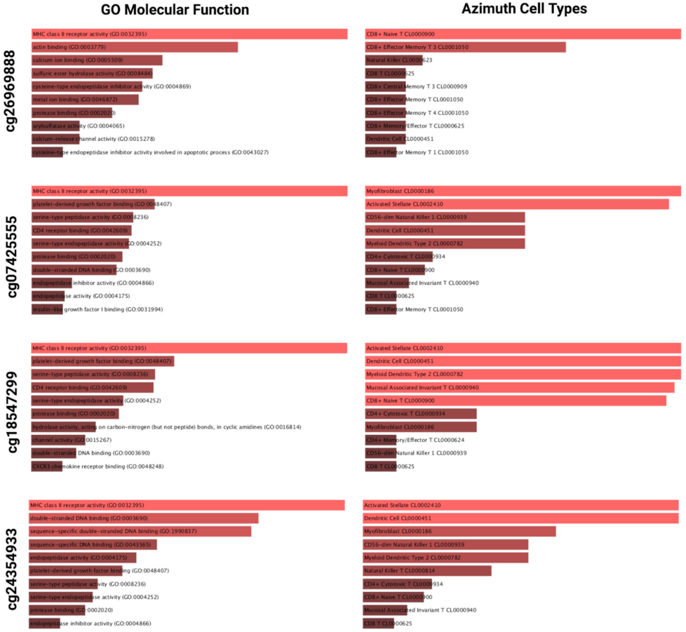 Ijms 22 12572 g004 Ijms 22 12572 g004