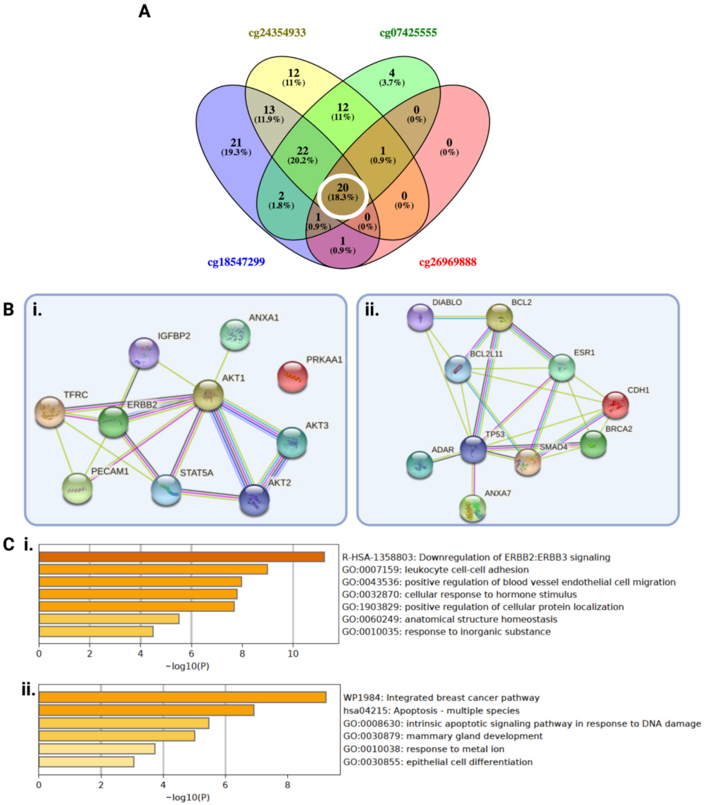 Ijms 22 12572 g005 Ijms 22 12572 g005