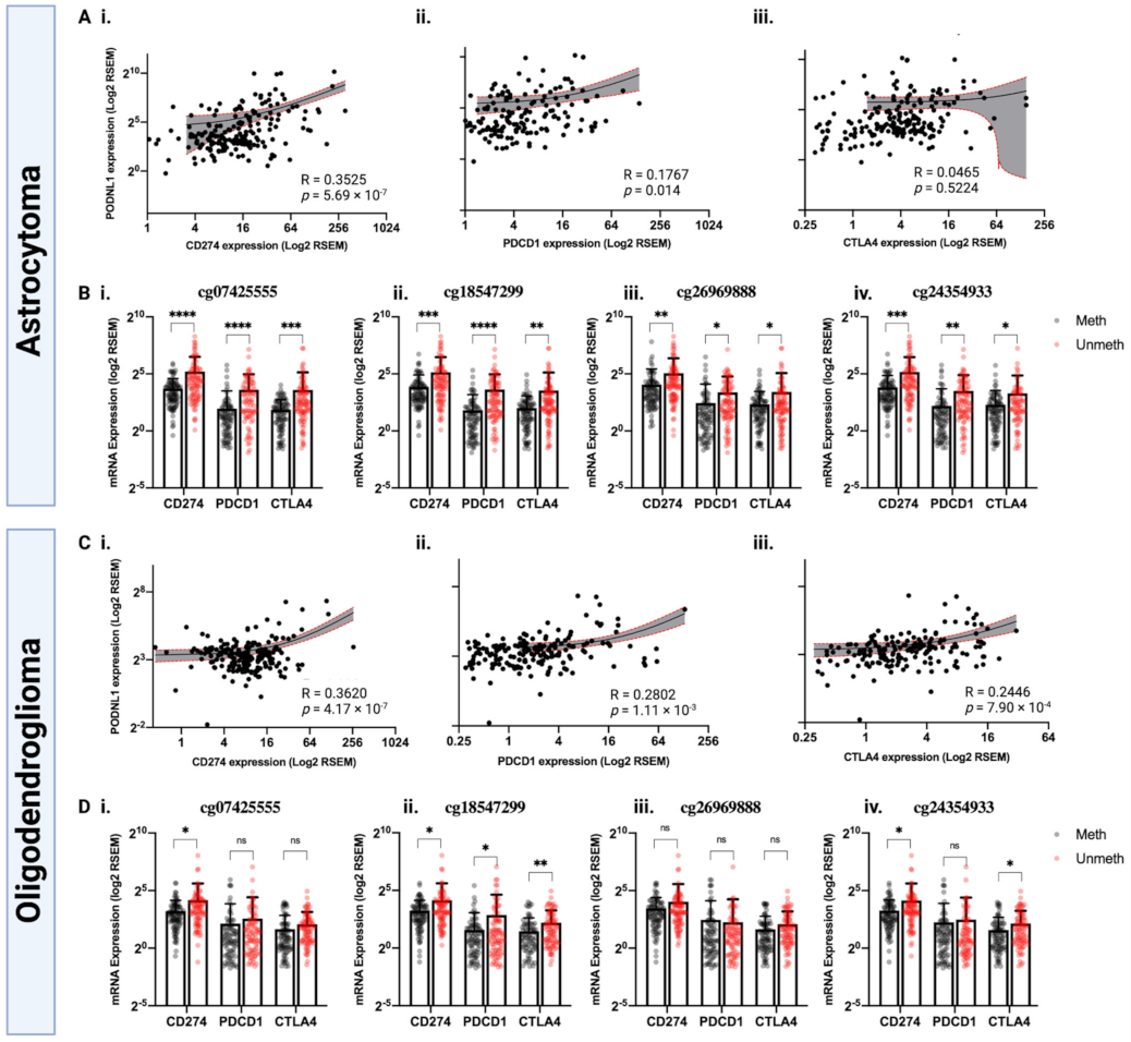 Ijms 22 12572 g007 Ijms 22 12572 g007
