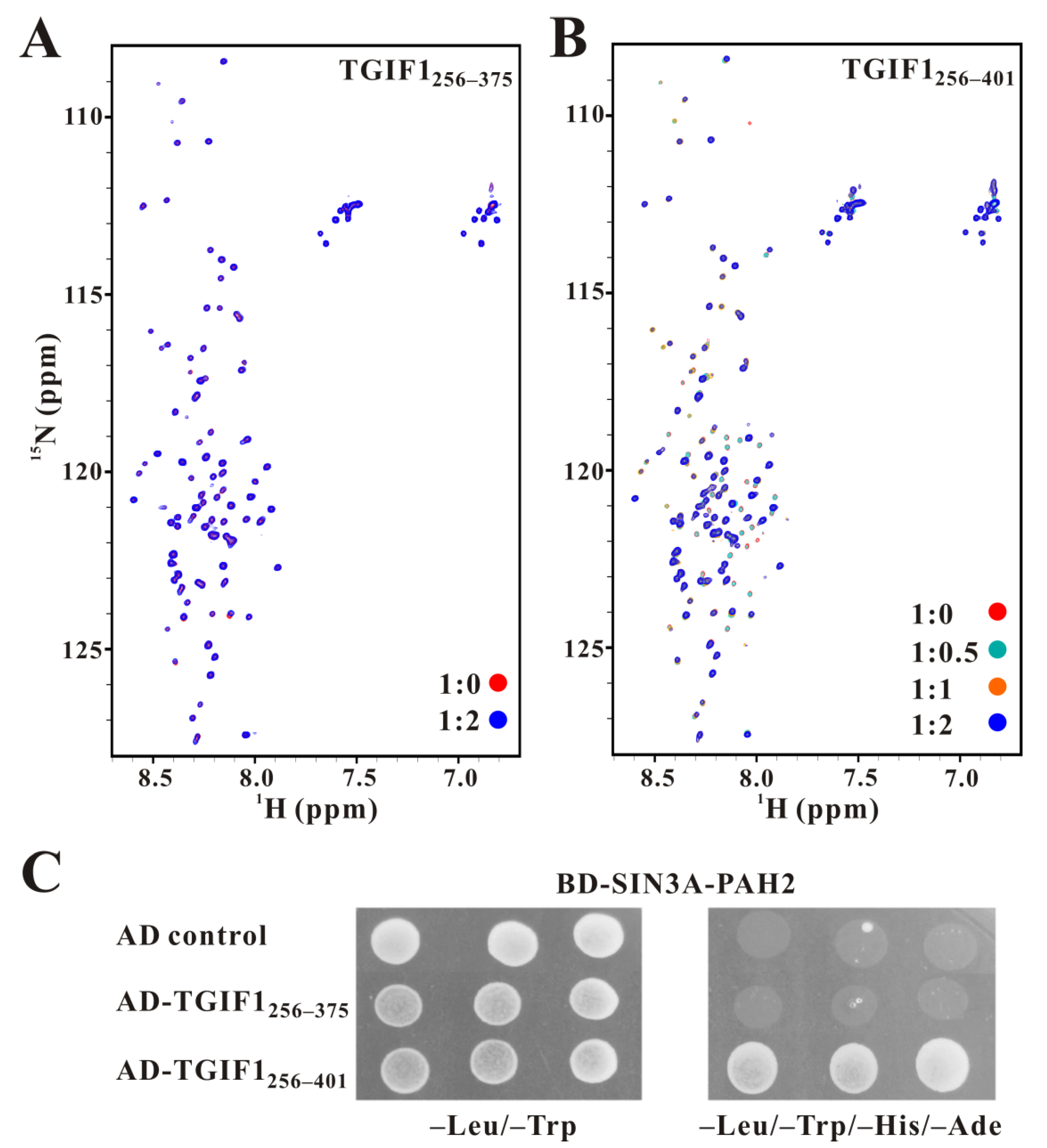 Ijms 22 12631 g003 Ijms 22 12631 g003