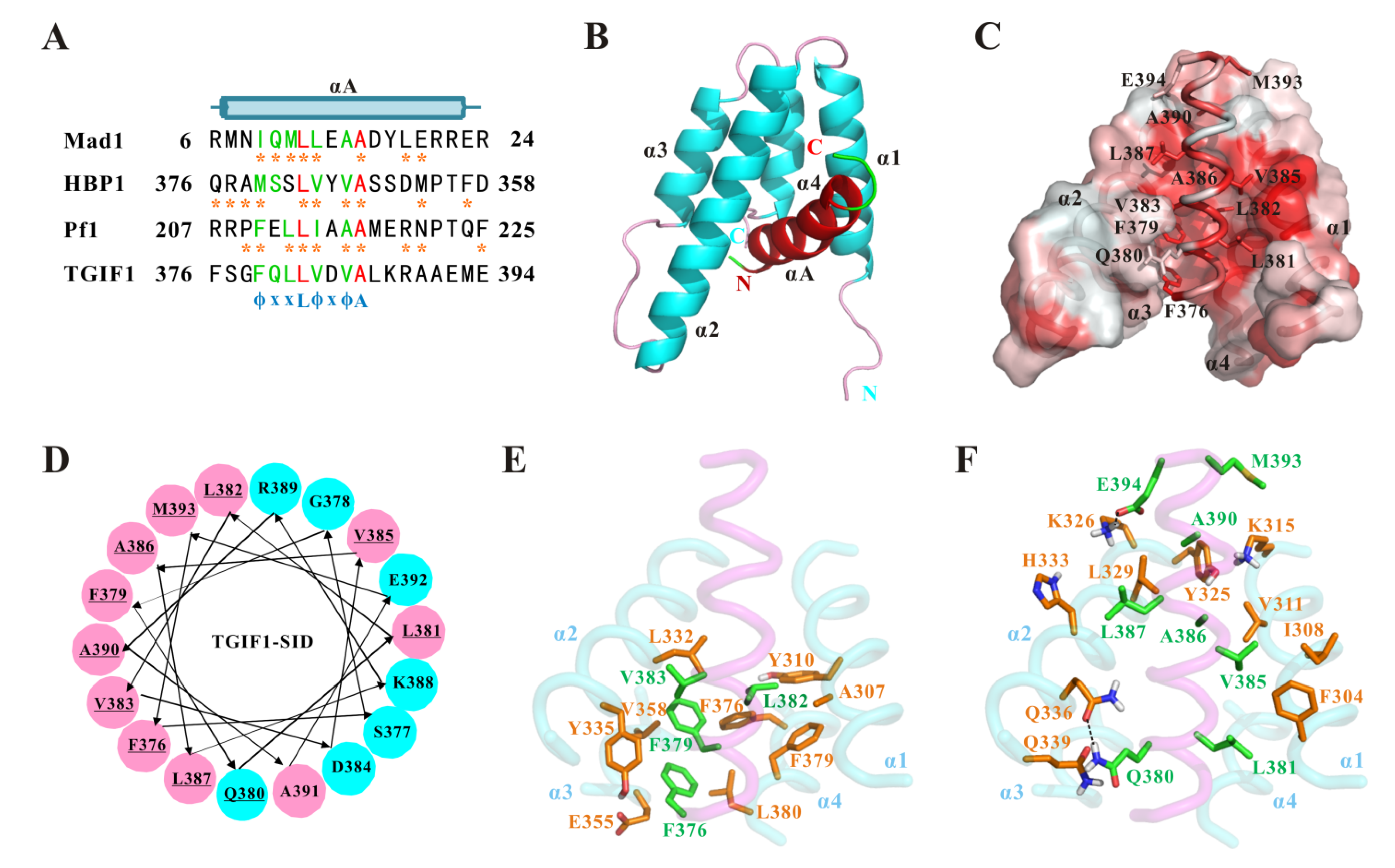 Ijms 22 12631 g004 Ijms 22 12631 g004
