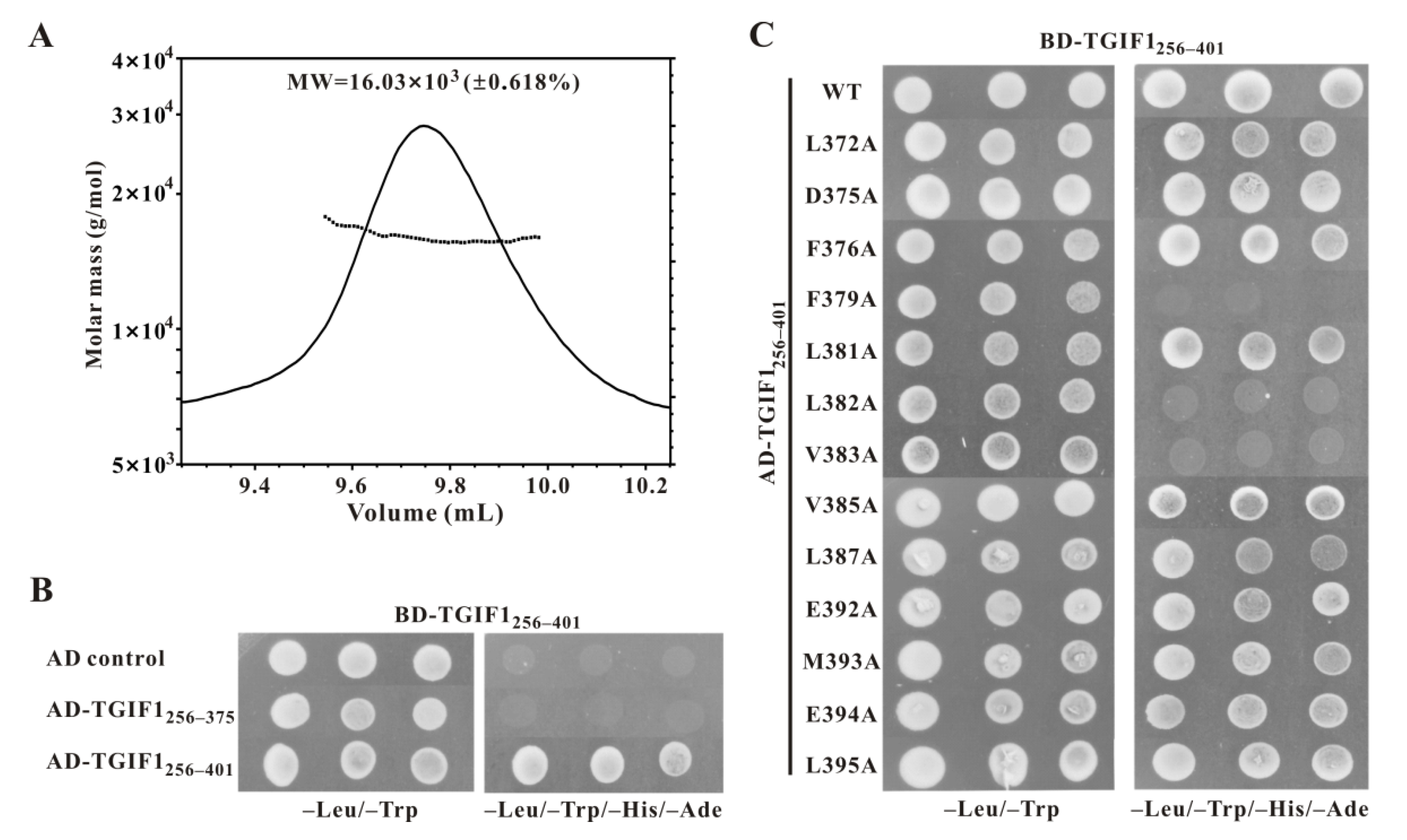 Ijms 22 12631 g006 Ijms 22 12631 g006