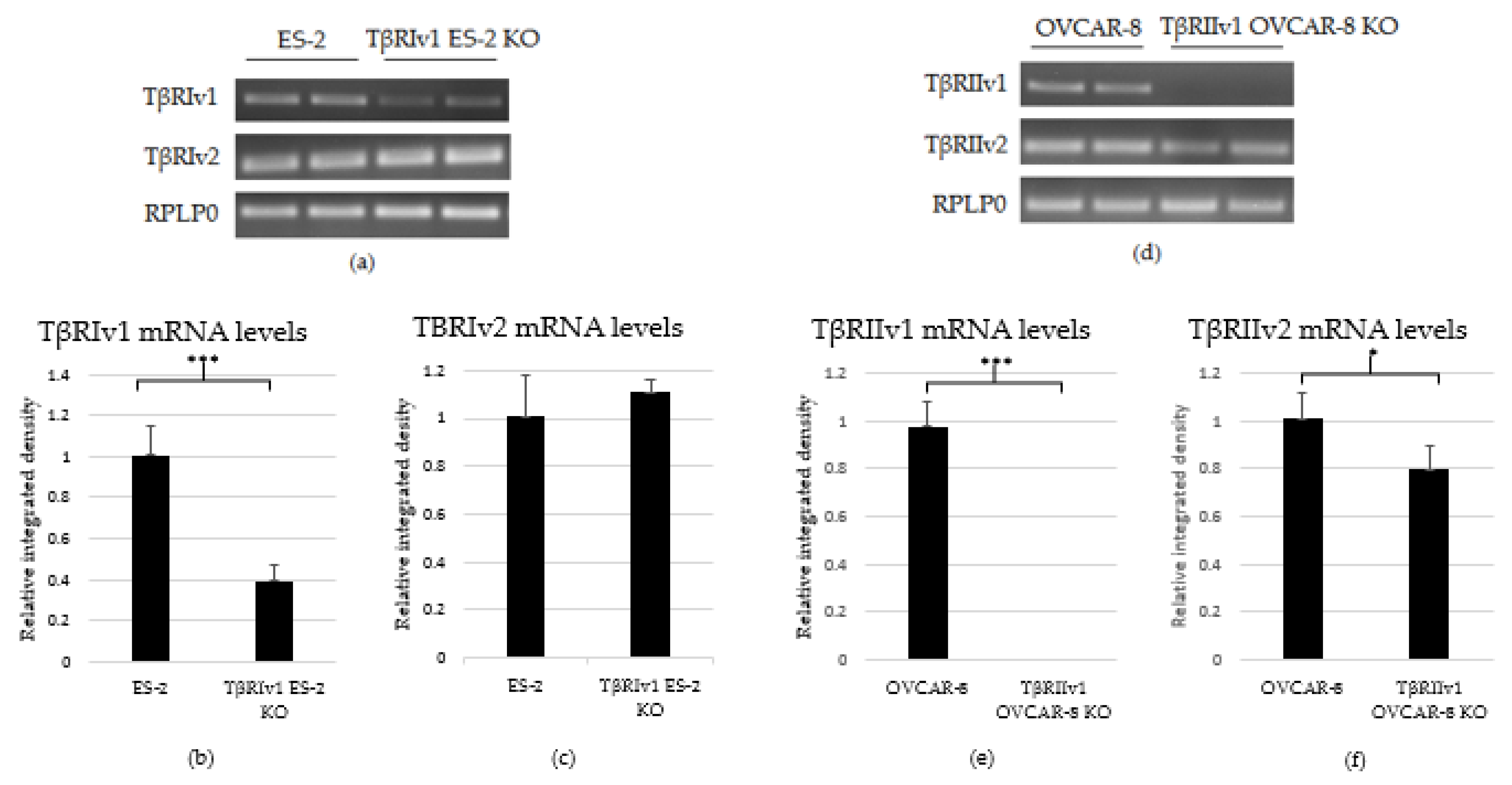 Ijms 22 12647 g002 Ijms 22 12647 g002