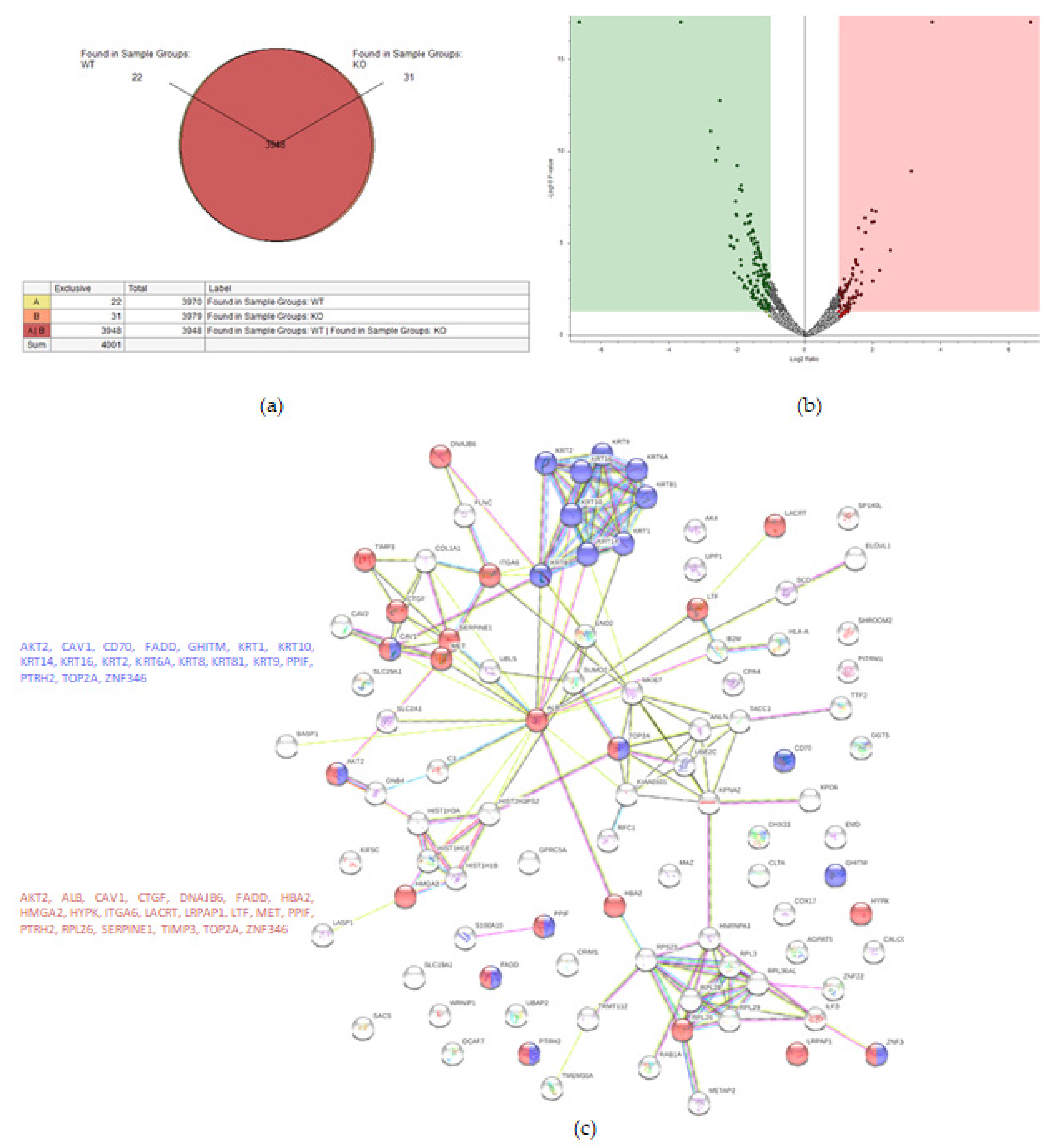 Ijms 22 12647 g003 Ijms 22 12647 g003