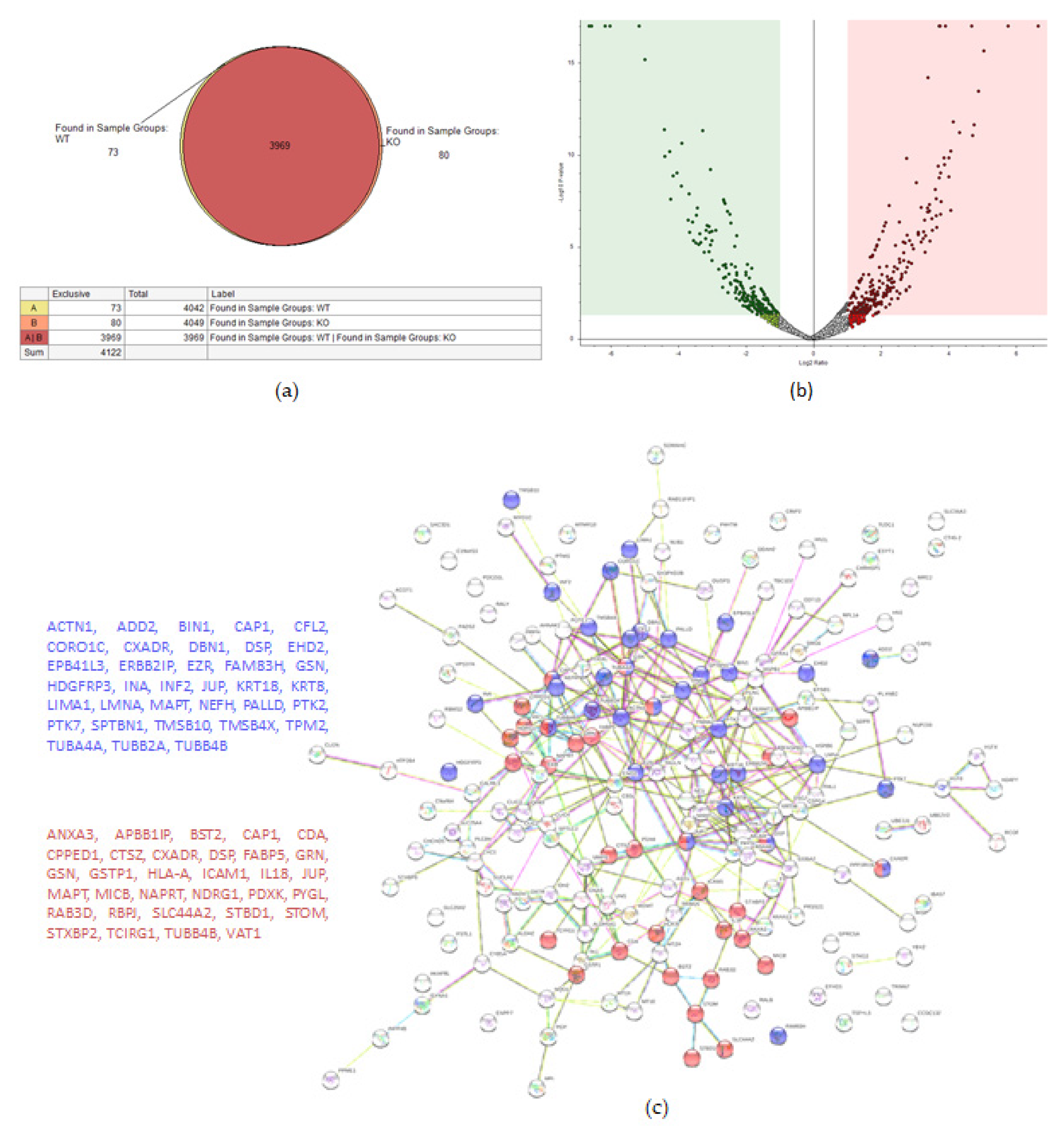 Ijms 22 12647 g004a Ijms 22 12647 g004a