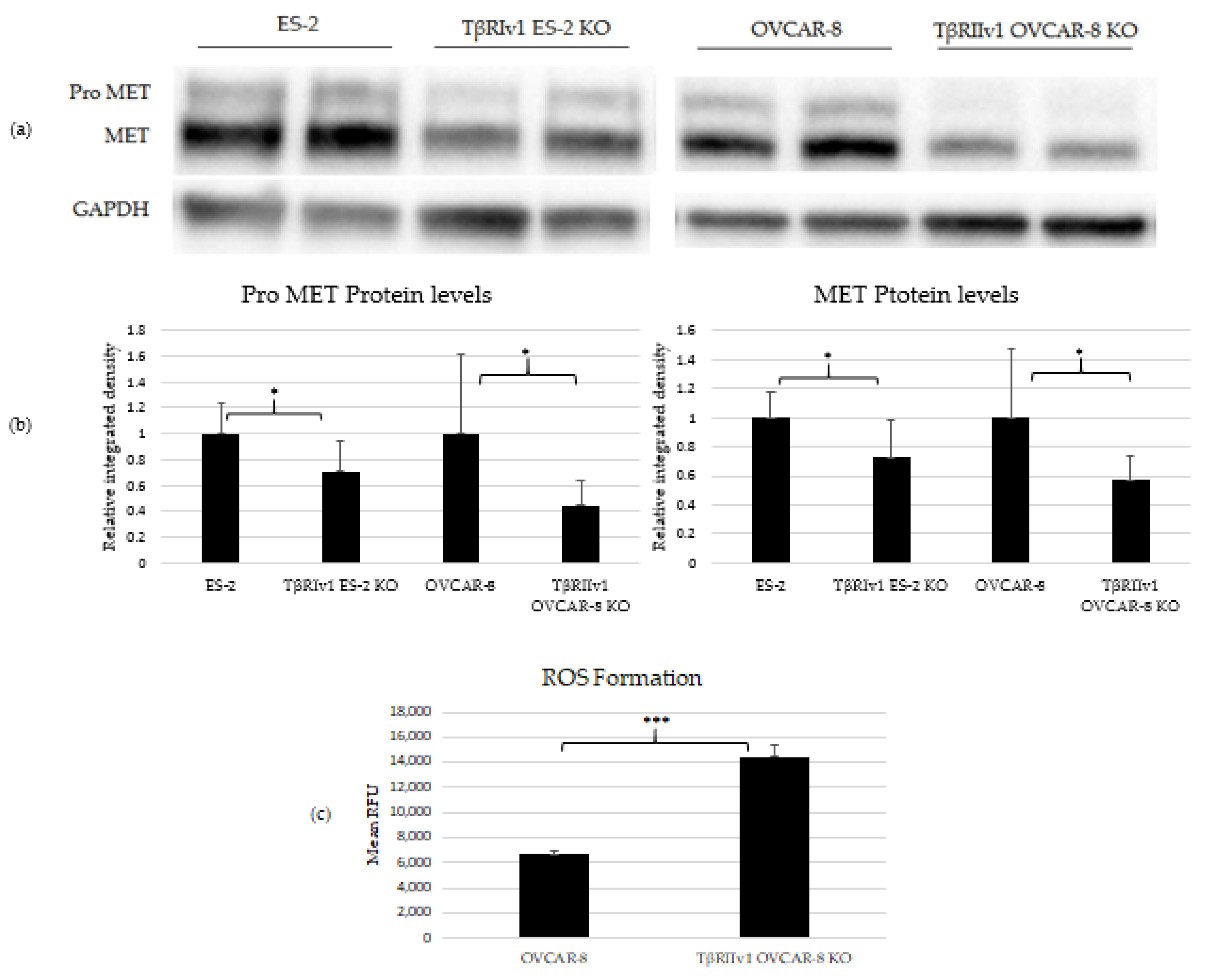 Ijms 22 12647 g005 Ijms 22 12647 g005