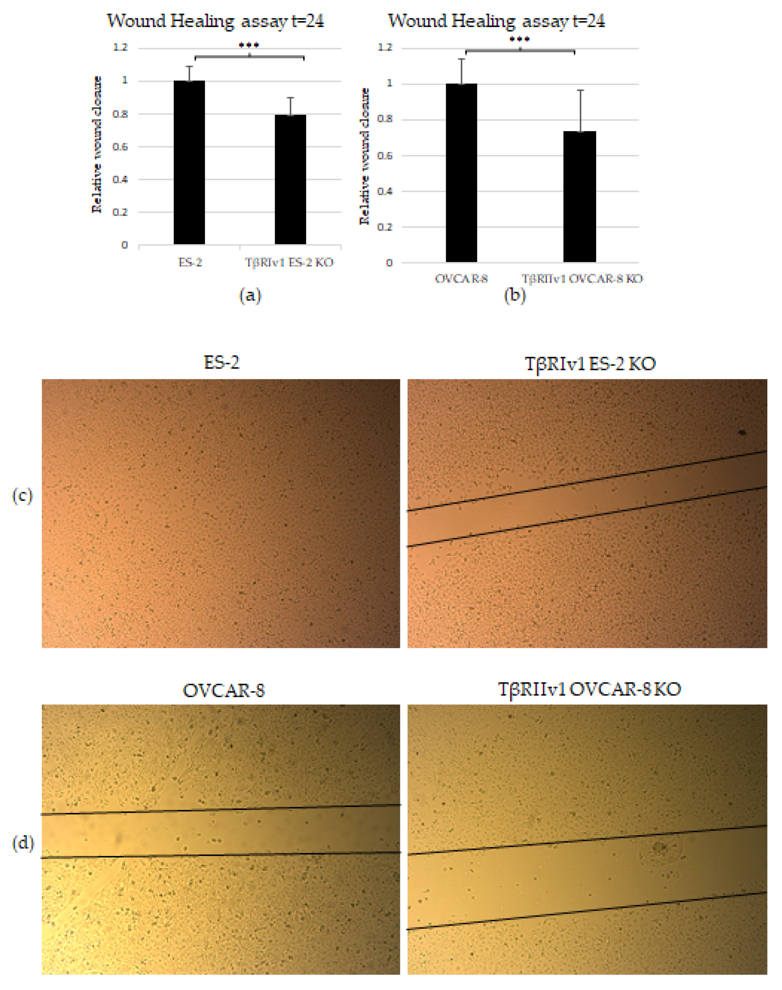 Ijms 22 12647 g006a Ijms 22 12647 g006a