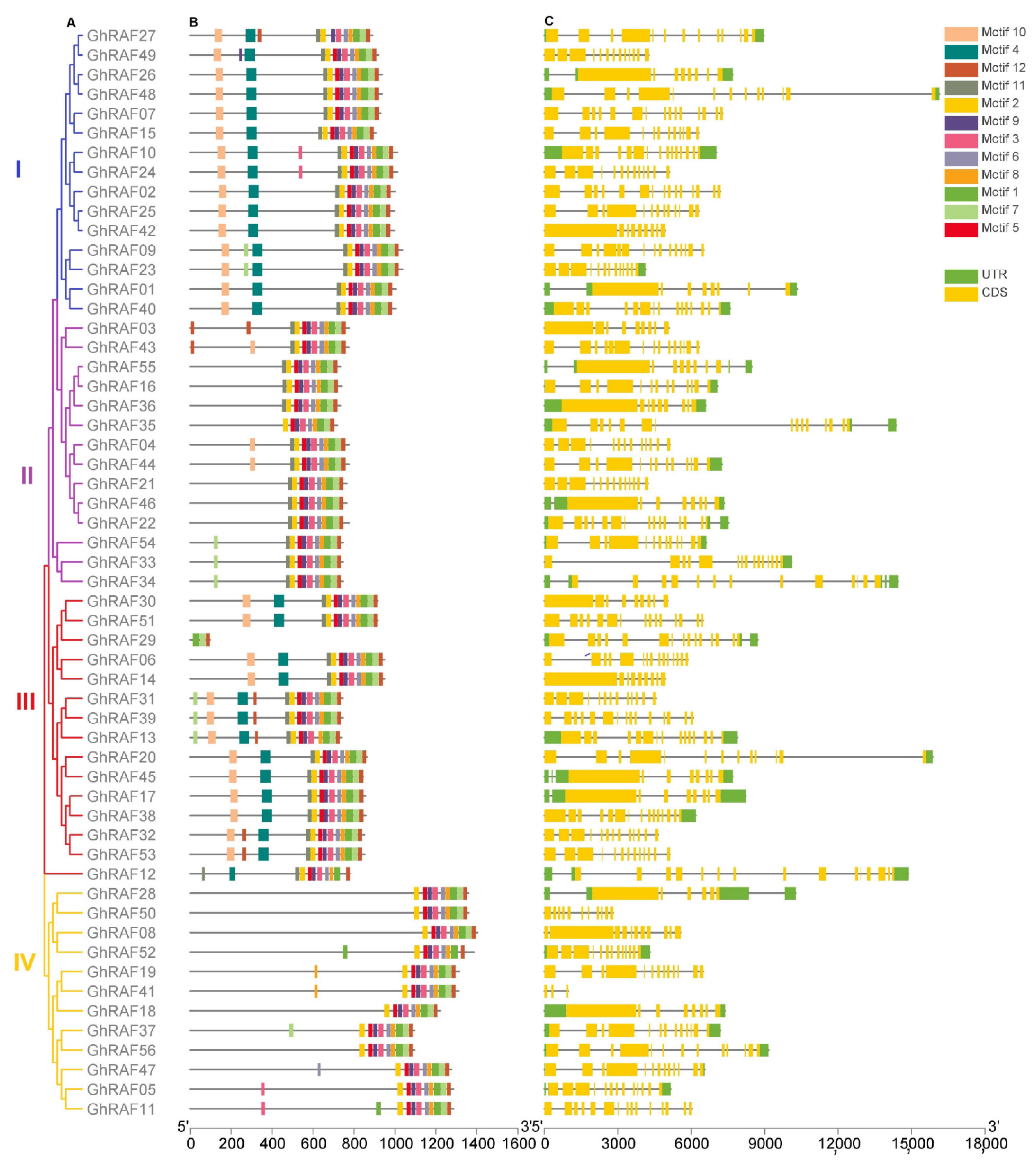 Ijms 22 12649 g002 Ijms 22 12649 g002
