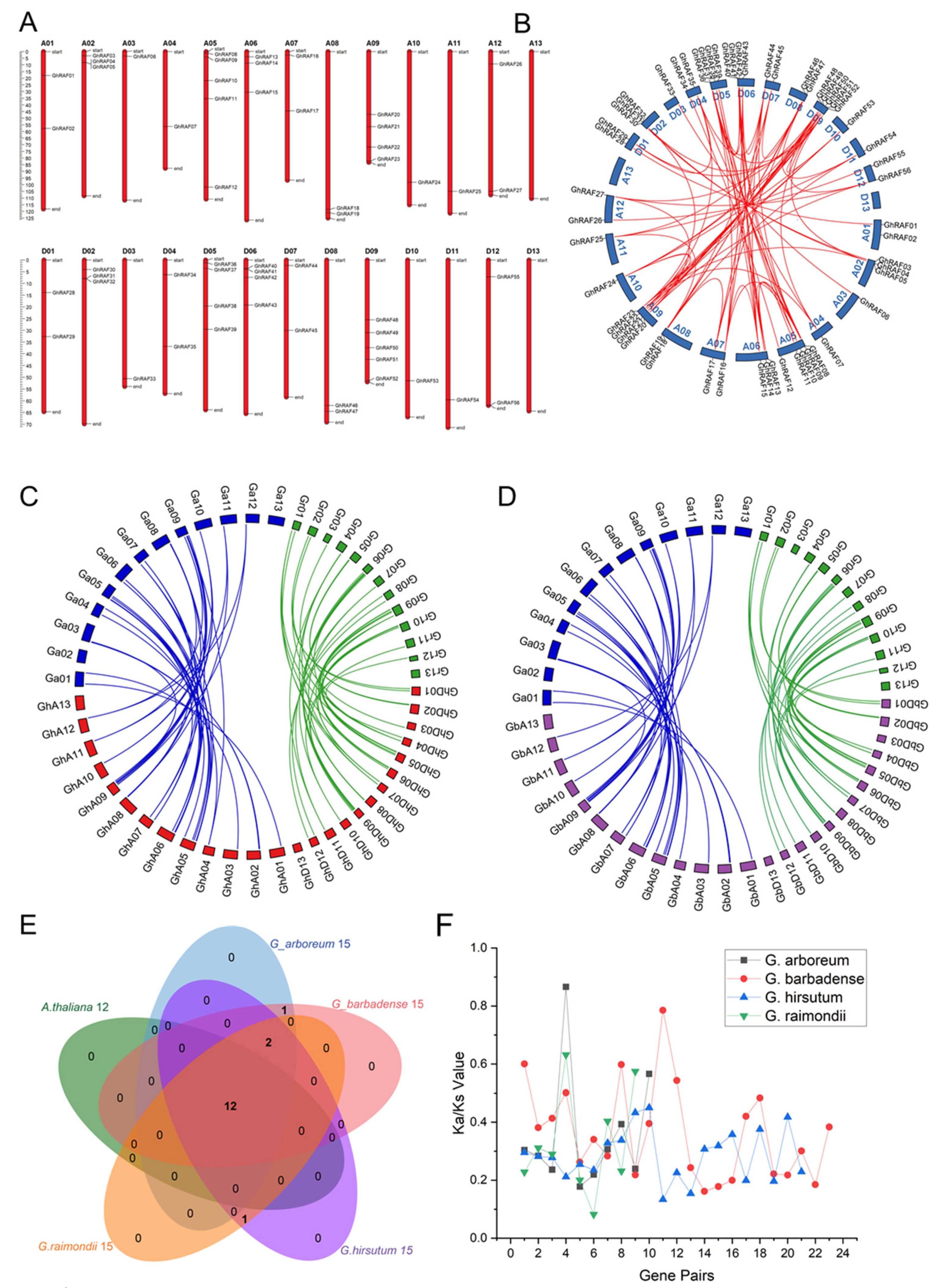 Ijms 22 12649 g003 Ijms 22 12649 g003
