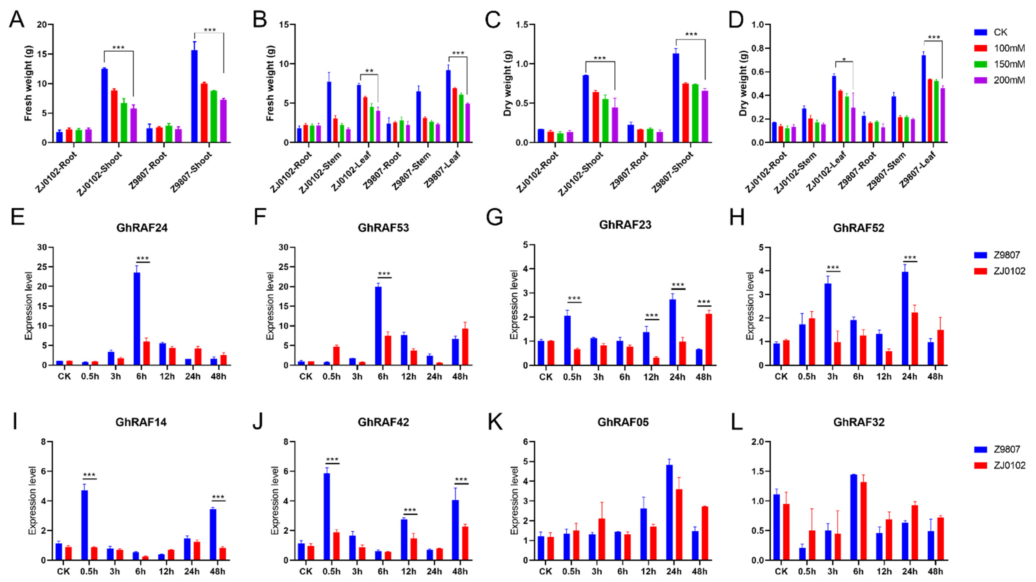 Ijms 22 12649 g005 Ijms 22 12649 g005