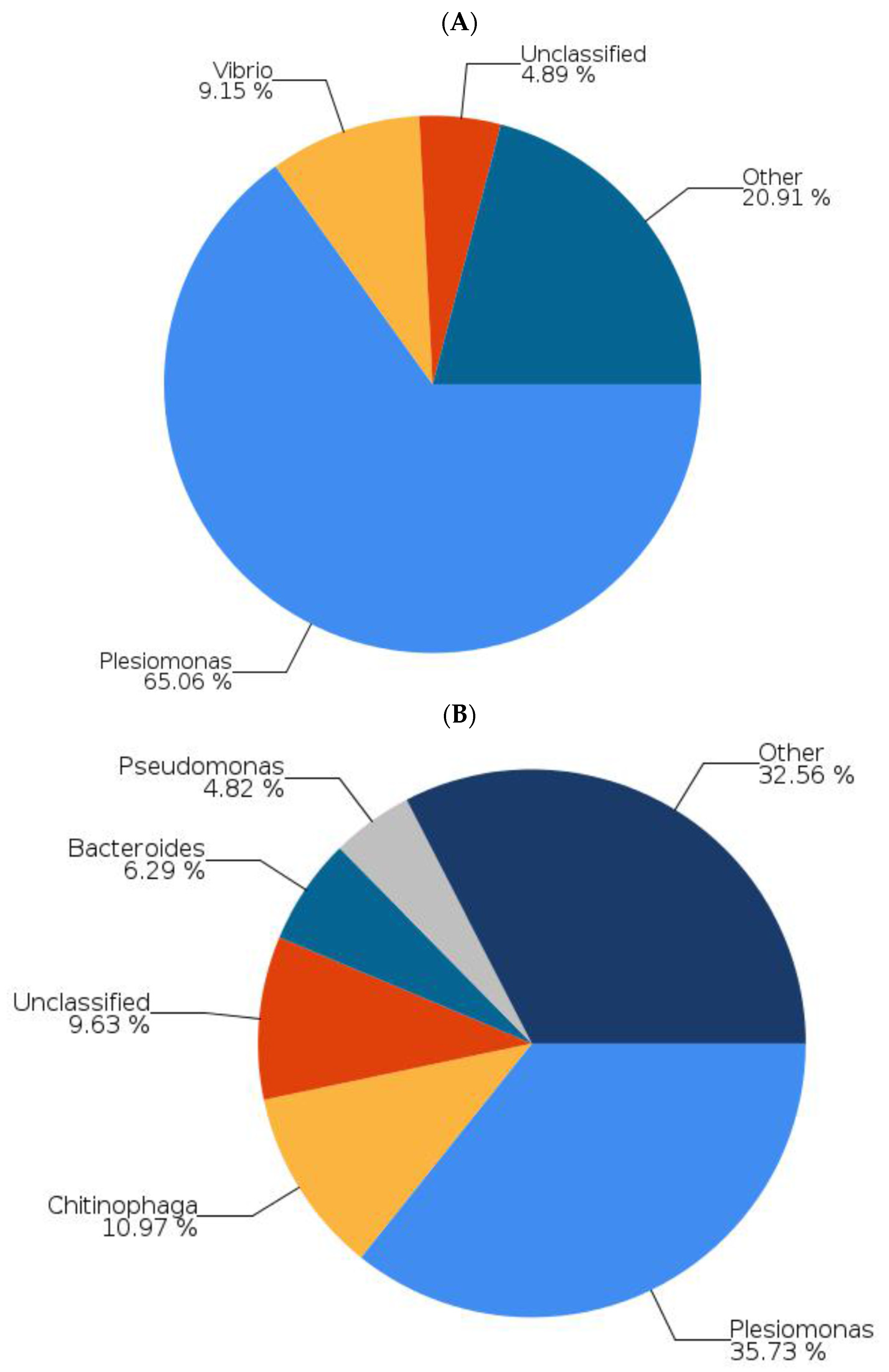 Ijms 22 12660 g004 Ijms 22 12660 g004