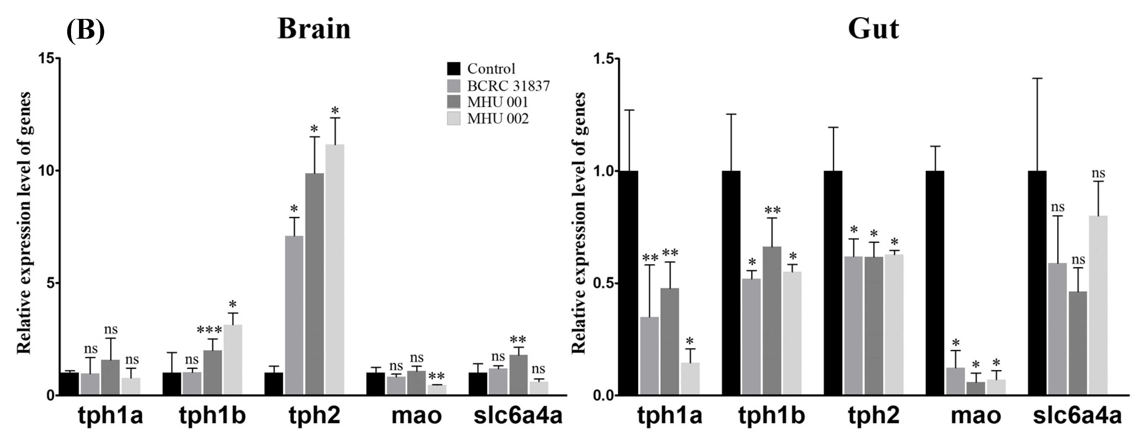 Ijms 22 12660 g006b Ijms 22 12660 g006b