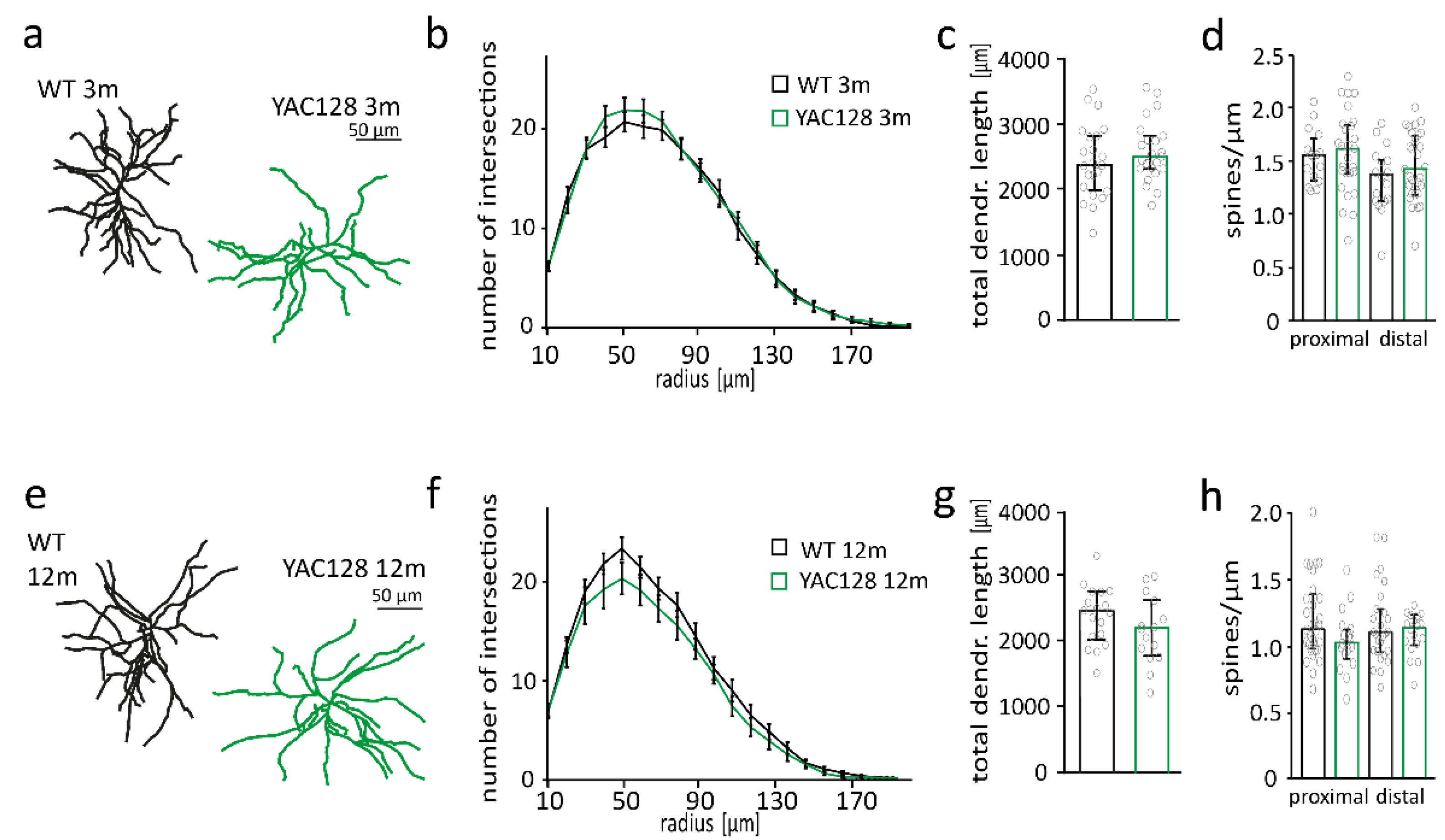 Ijms 22 12664 g001 Ijms 22 12664 g001