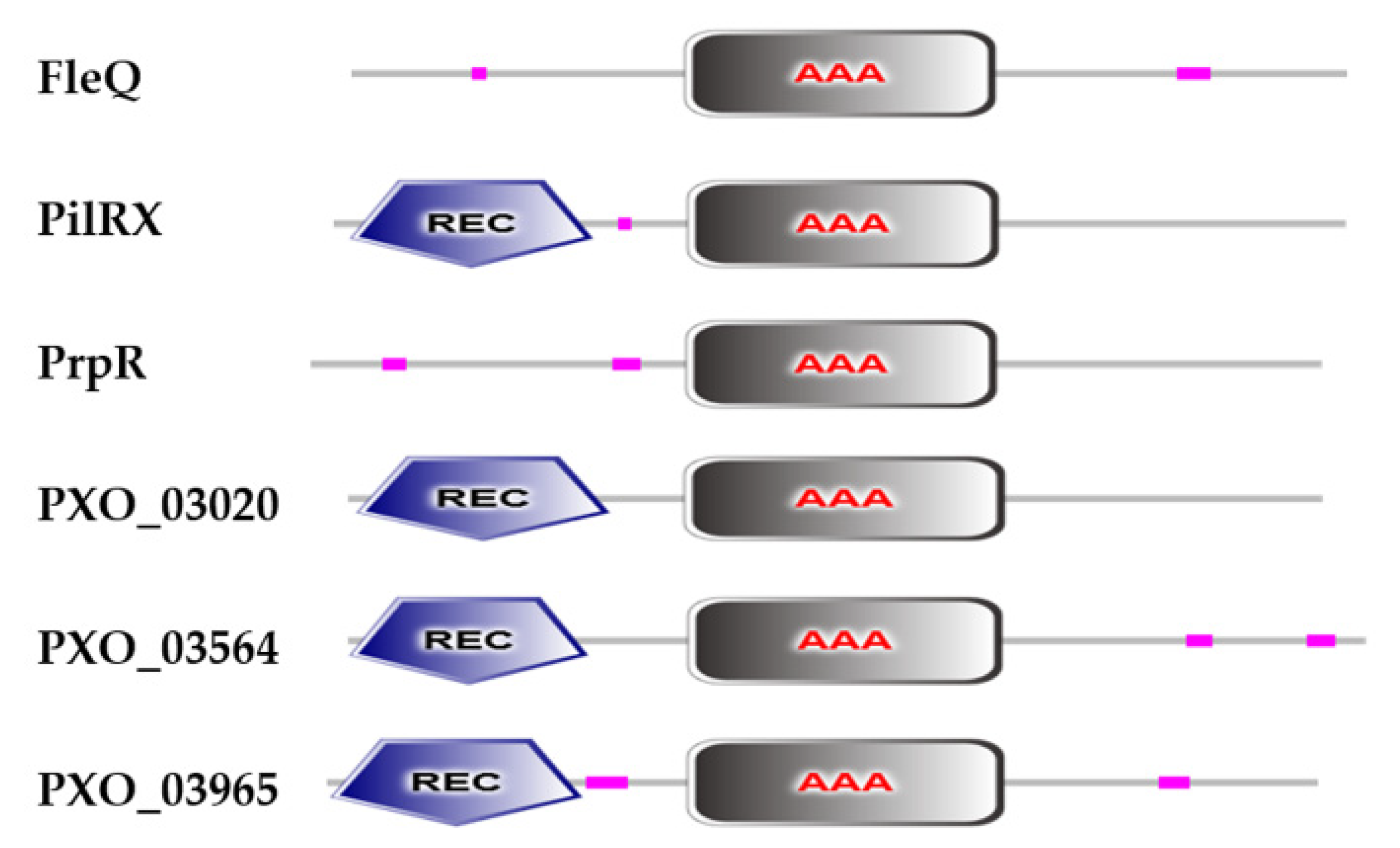 Ijms 22 12692 g001 Ijms 22 12692 g001