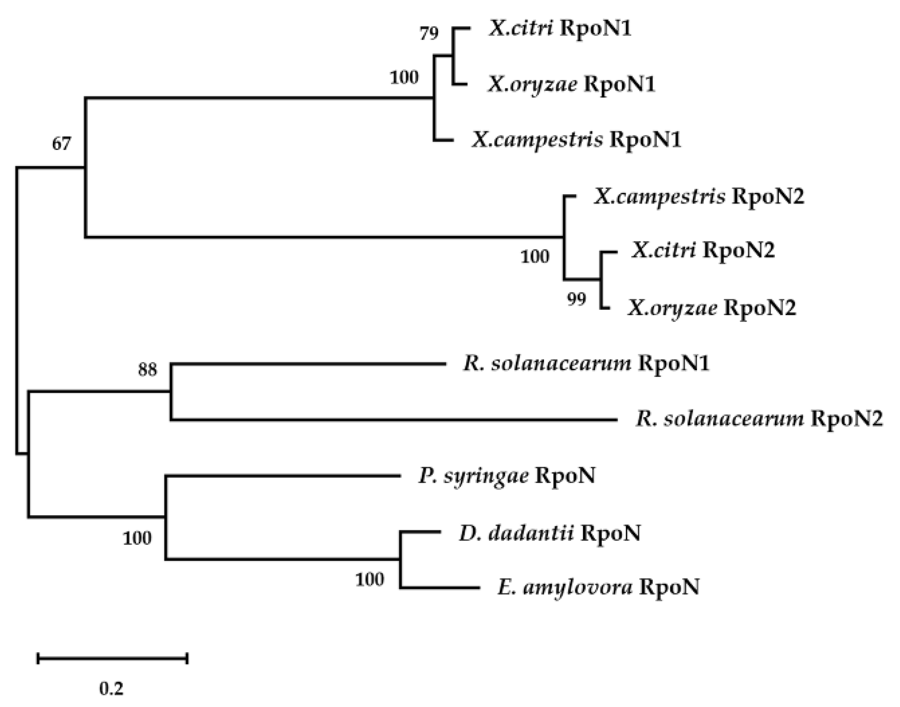 Ijms 22 12692 g002 Ijms 22 12692 g002