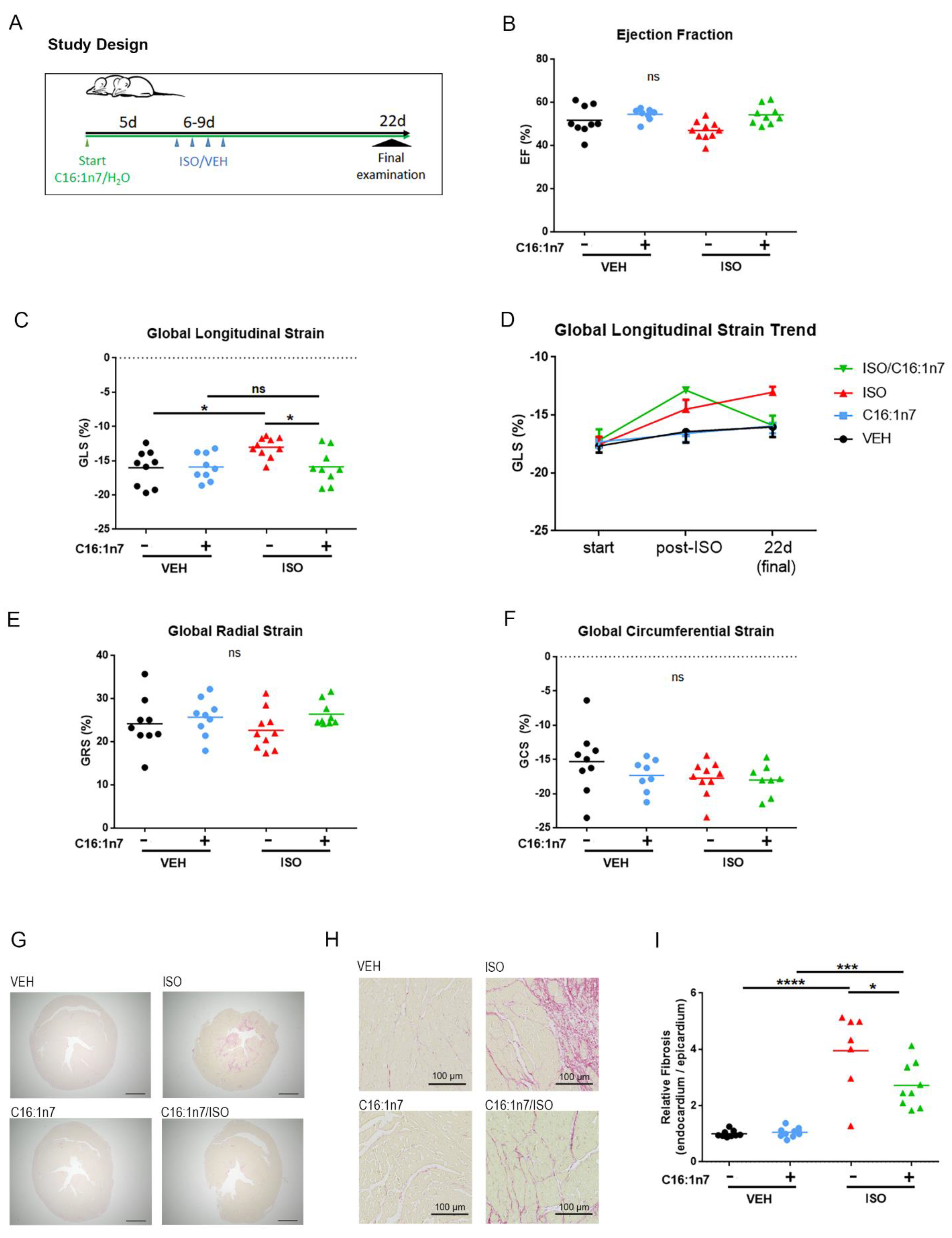 Ijms 22 12695 g003 Ijms 22 12695 g003
