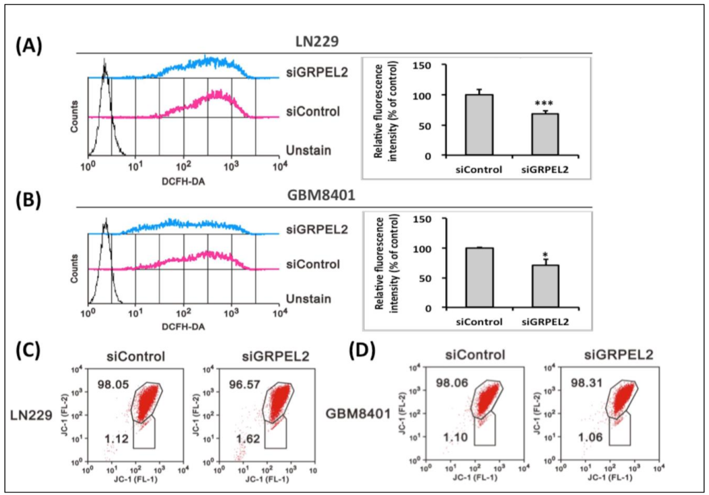 Ijms 22 12705 g007 Ijms 22 12705 g007
