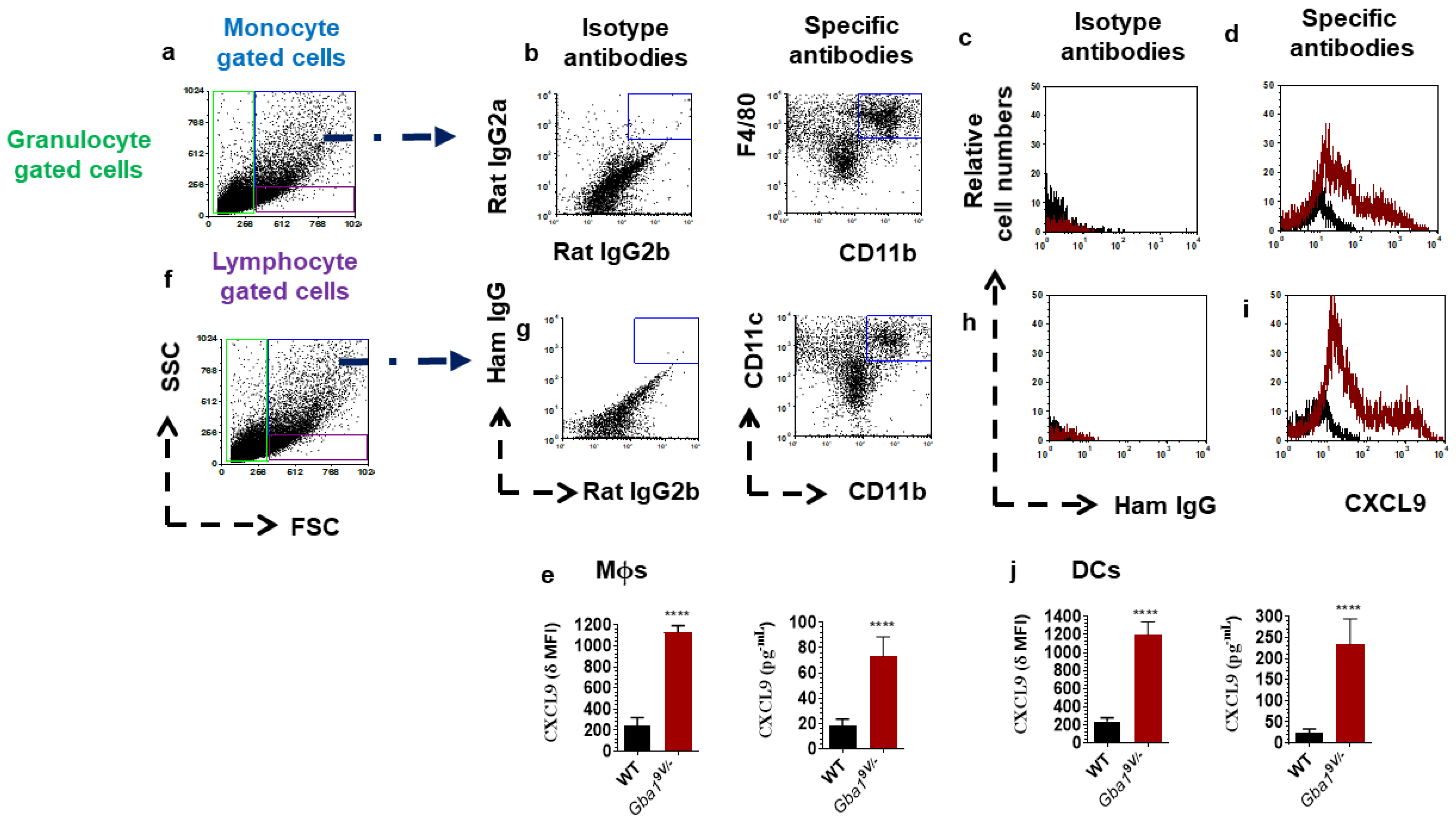 Ijms 22 12712 g001 Ijms 22 12712 g001