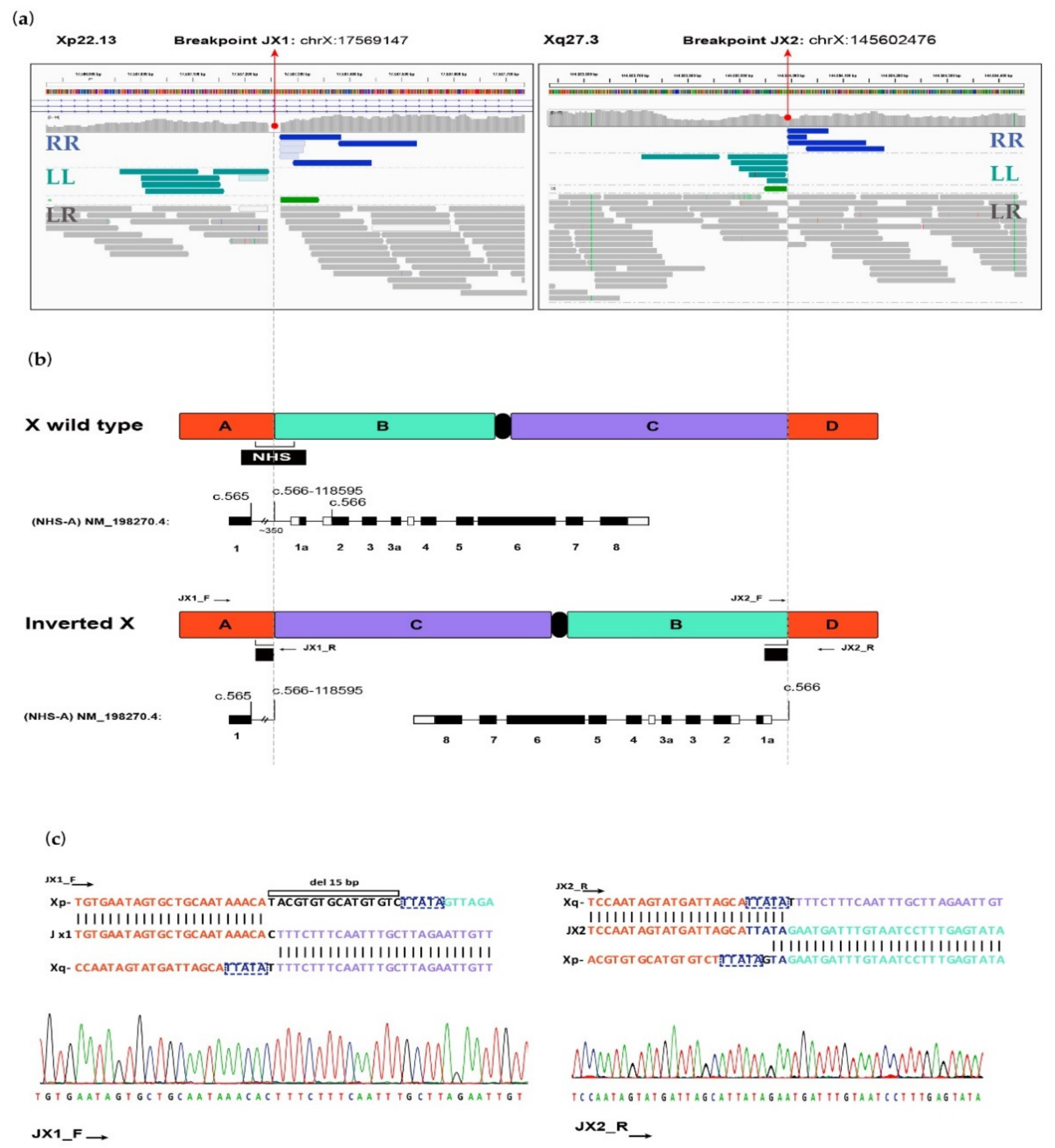 Ijms 22 12713 g002 Ijms 22 12713 g002
