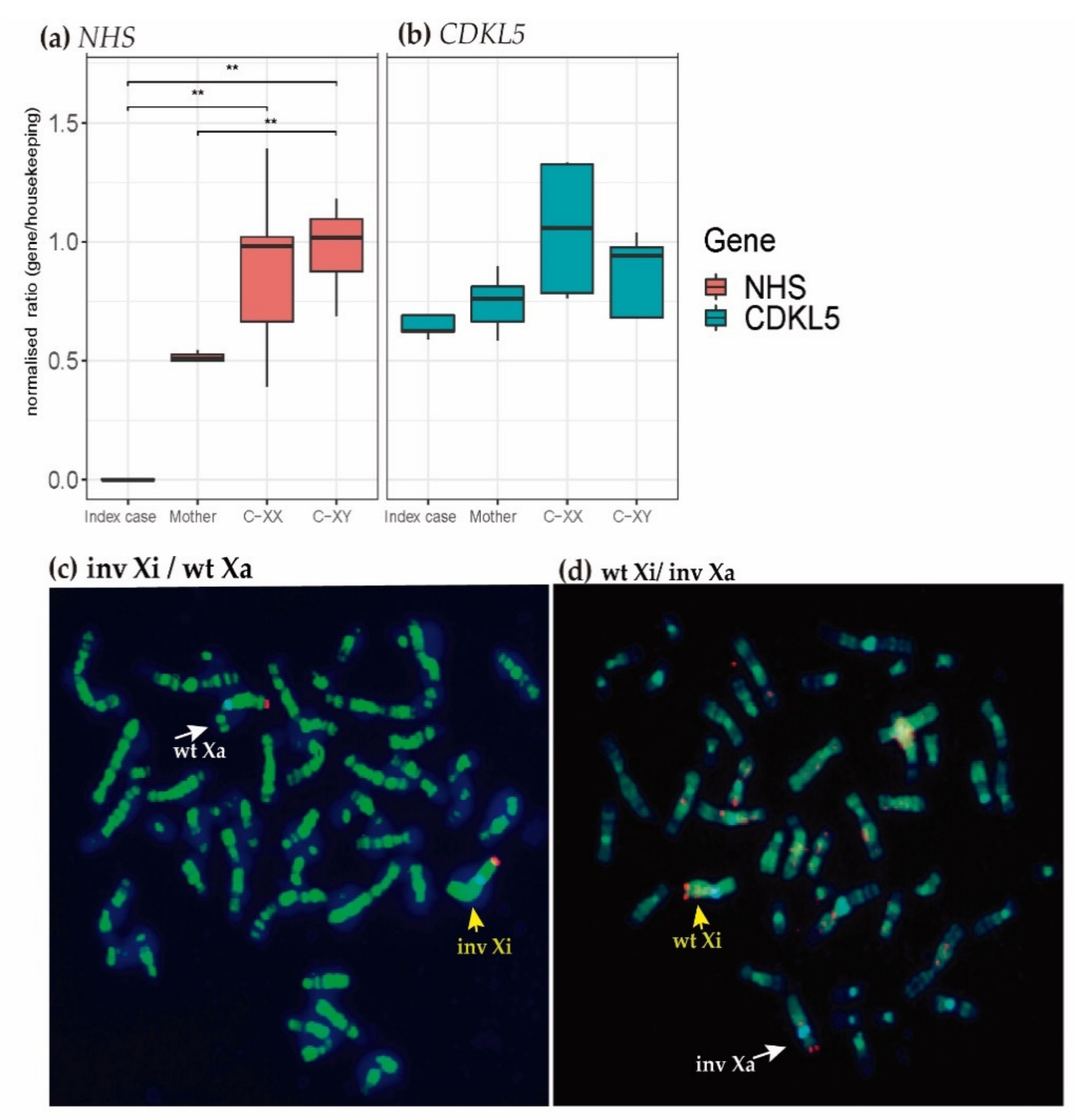 Ijms 22 12713 g003 Ijms 22 12713 g003