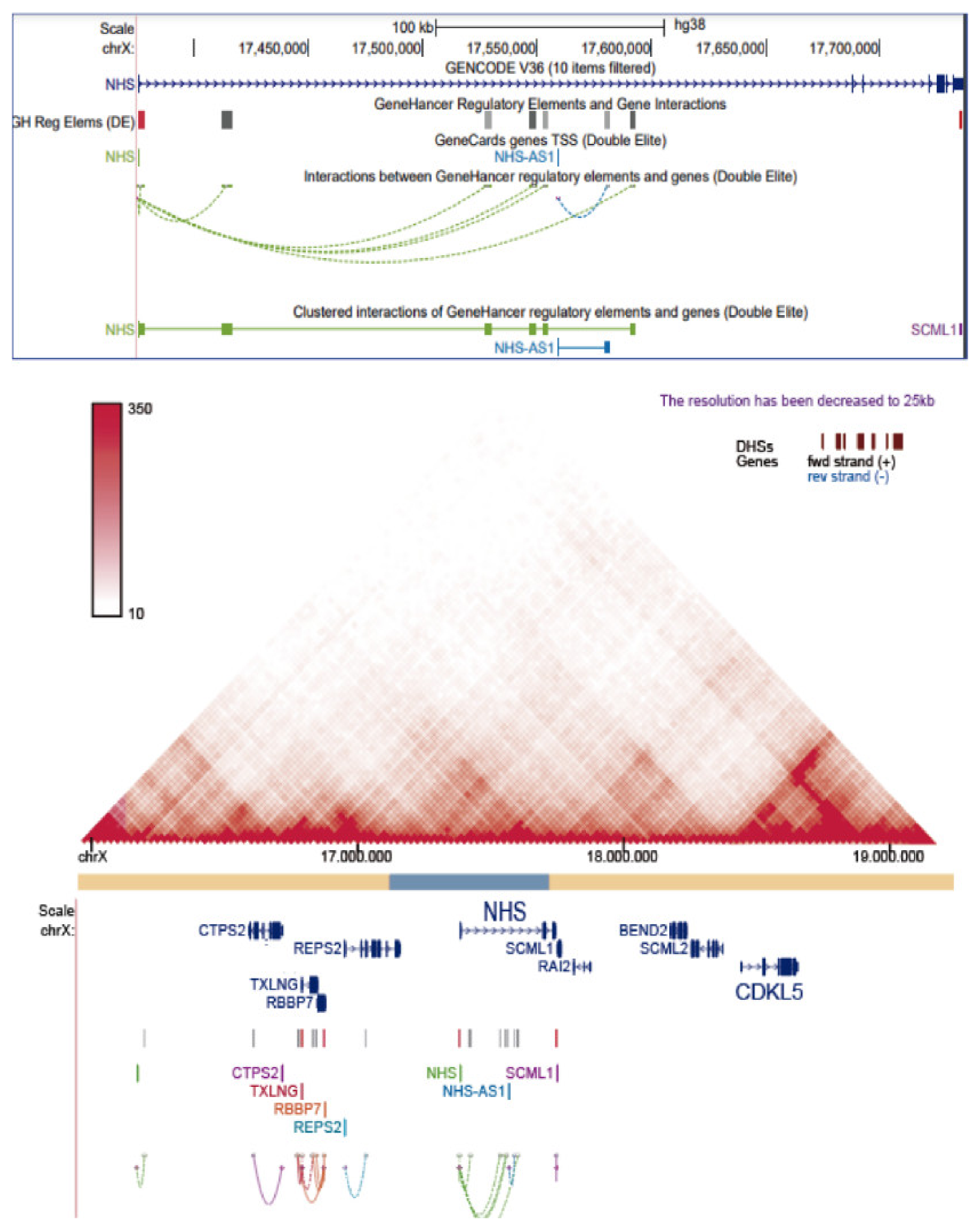 Ijms 22 12713 g0a1 Ijms 22 12713 g0a1