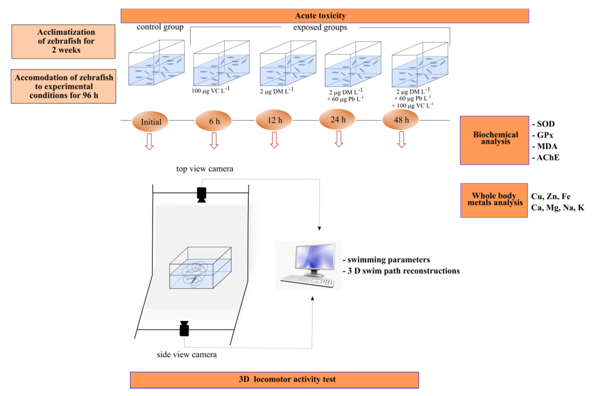 Ijms 22 12714 g005 Ijms 22 12714 g005