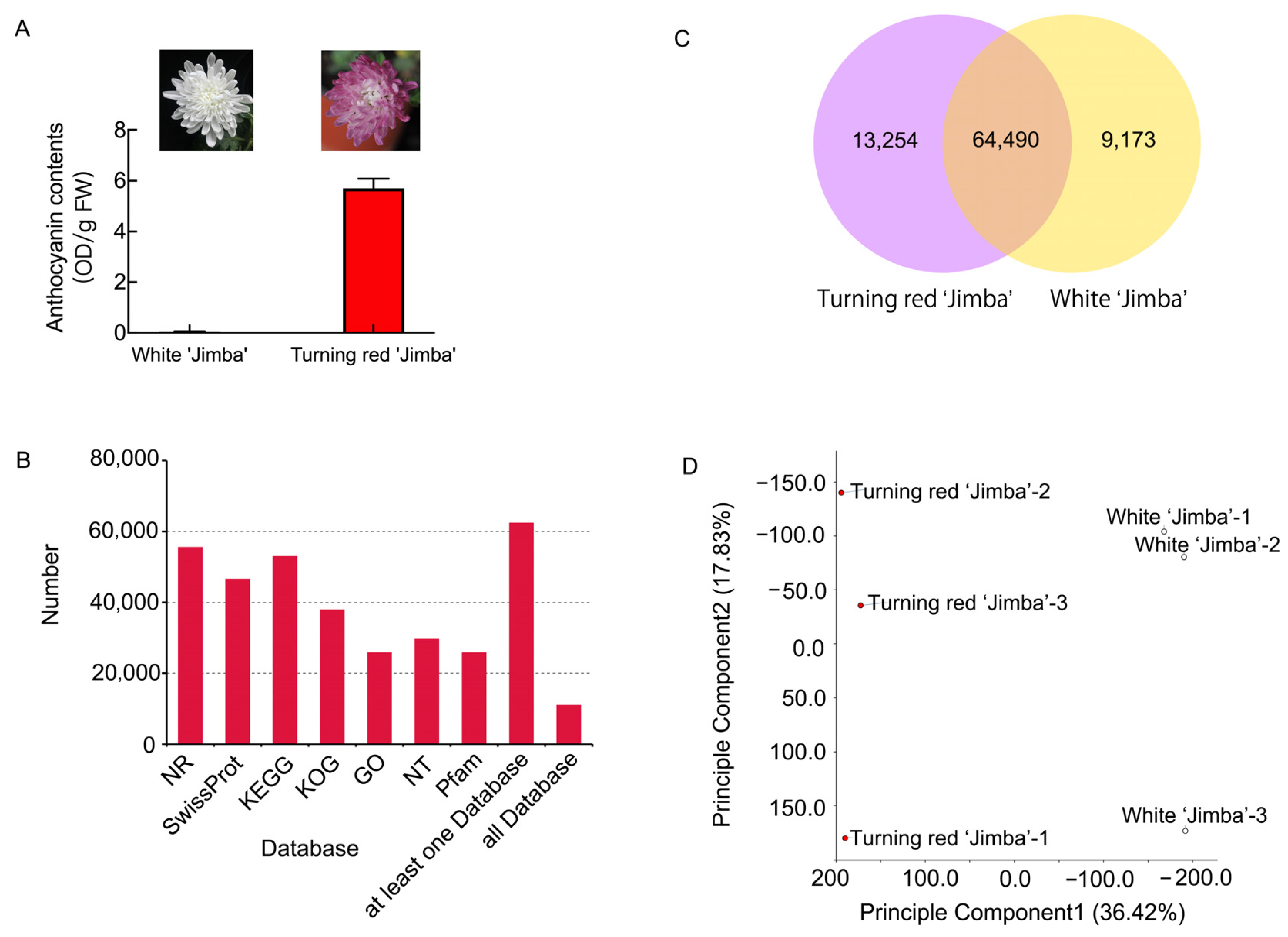 Ijms 22 12769 g001 Ijms 22 12769 g001