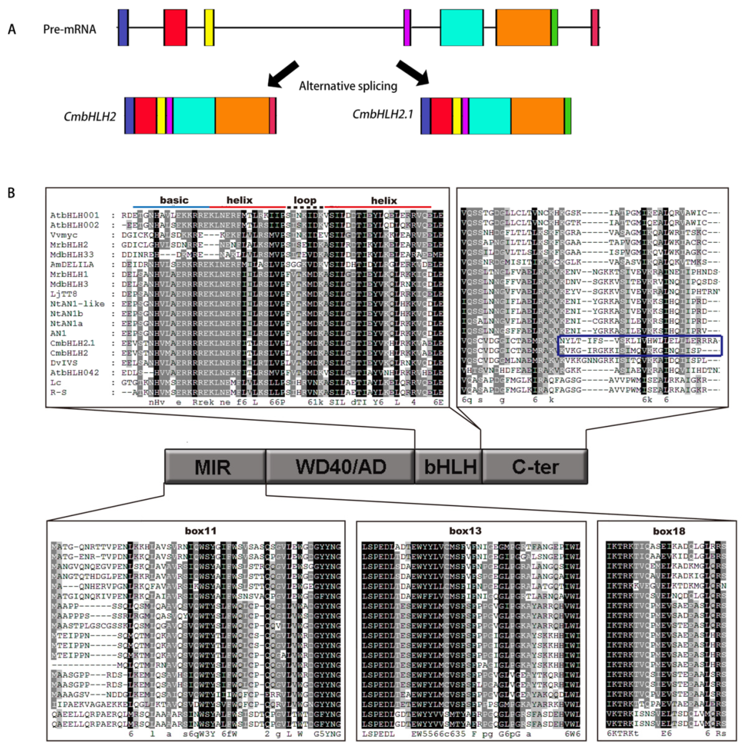 Ijms 22 12769 g005 Ijms 22 12769 g005