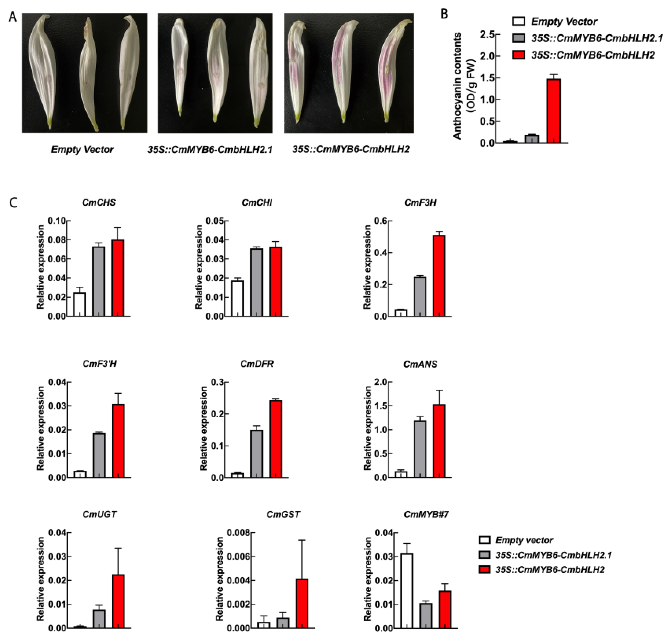 Ijms 22 12769 g007 Ijms 22 12769 g007
