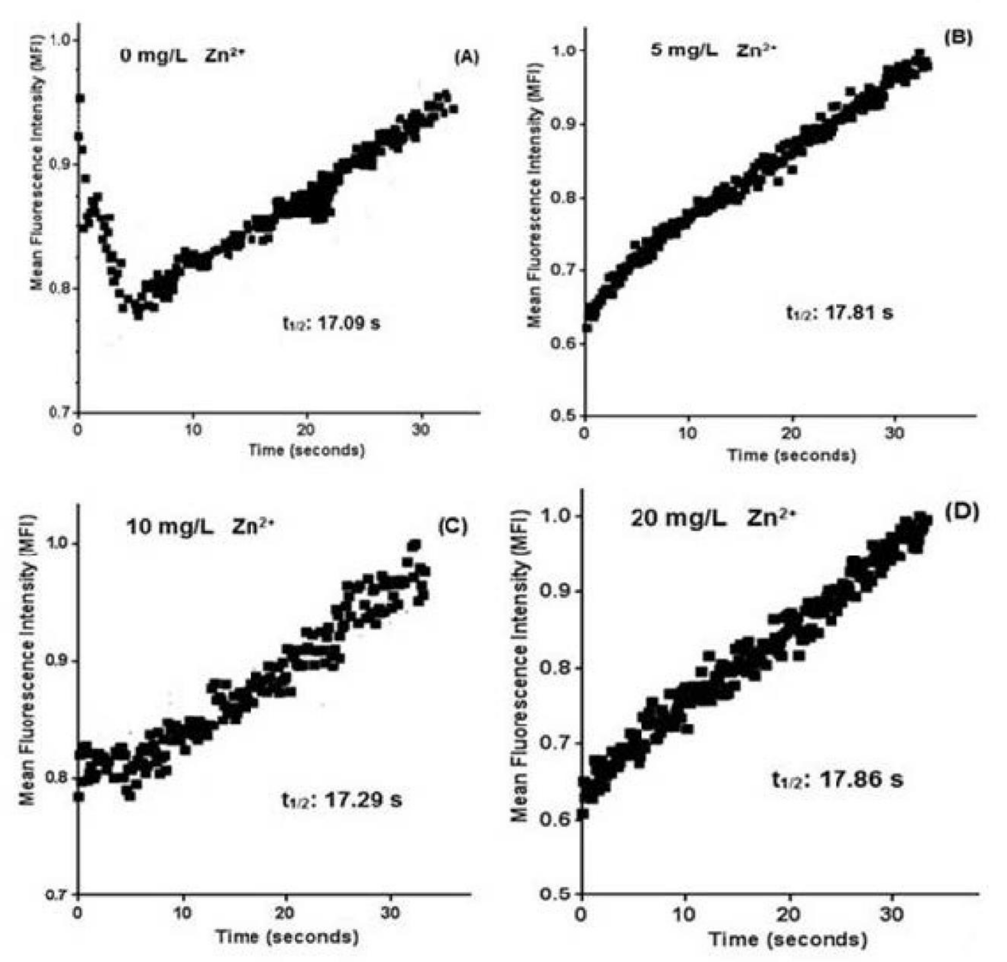Ijms 22 12799 g005 Ijms 22 12799 g005