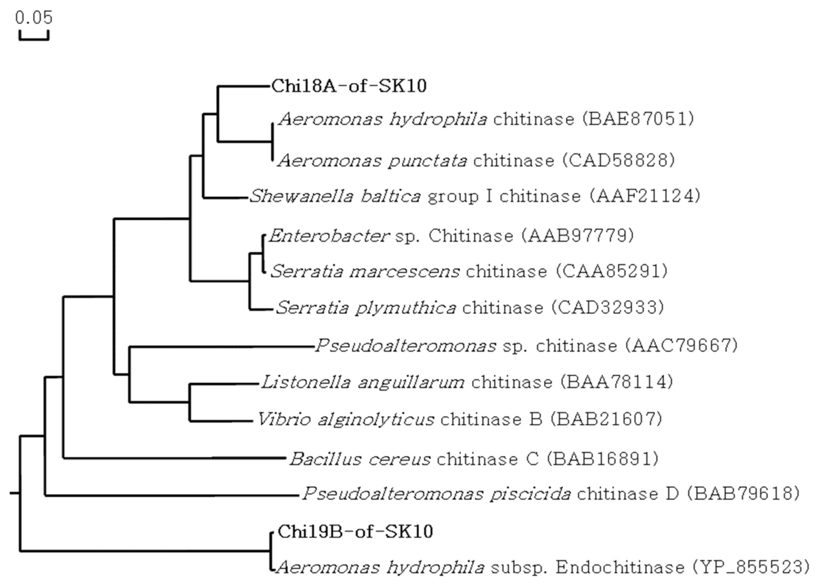 IJMS | Free Full-Text | Molecular Characterization of Four Alkaline  Chitinases from Three Chitinolytic Bacteria Isolated from a Mudflat | HTML