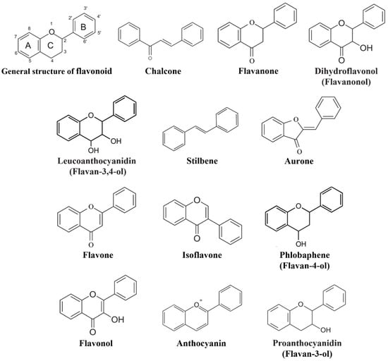 ijms free full text the flavonoid biosynthesis network in plants html