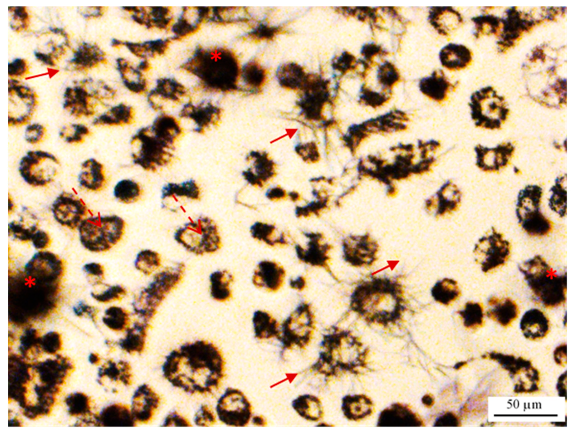 Ijms 22 12827 g014 Ijms 22 12827 g014