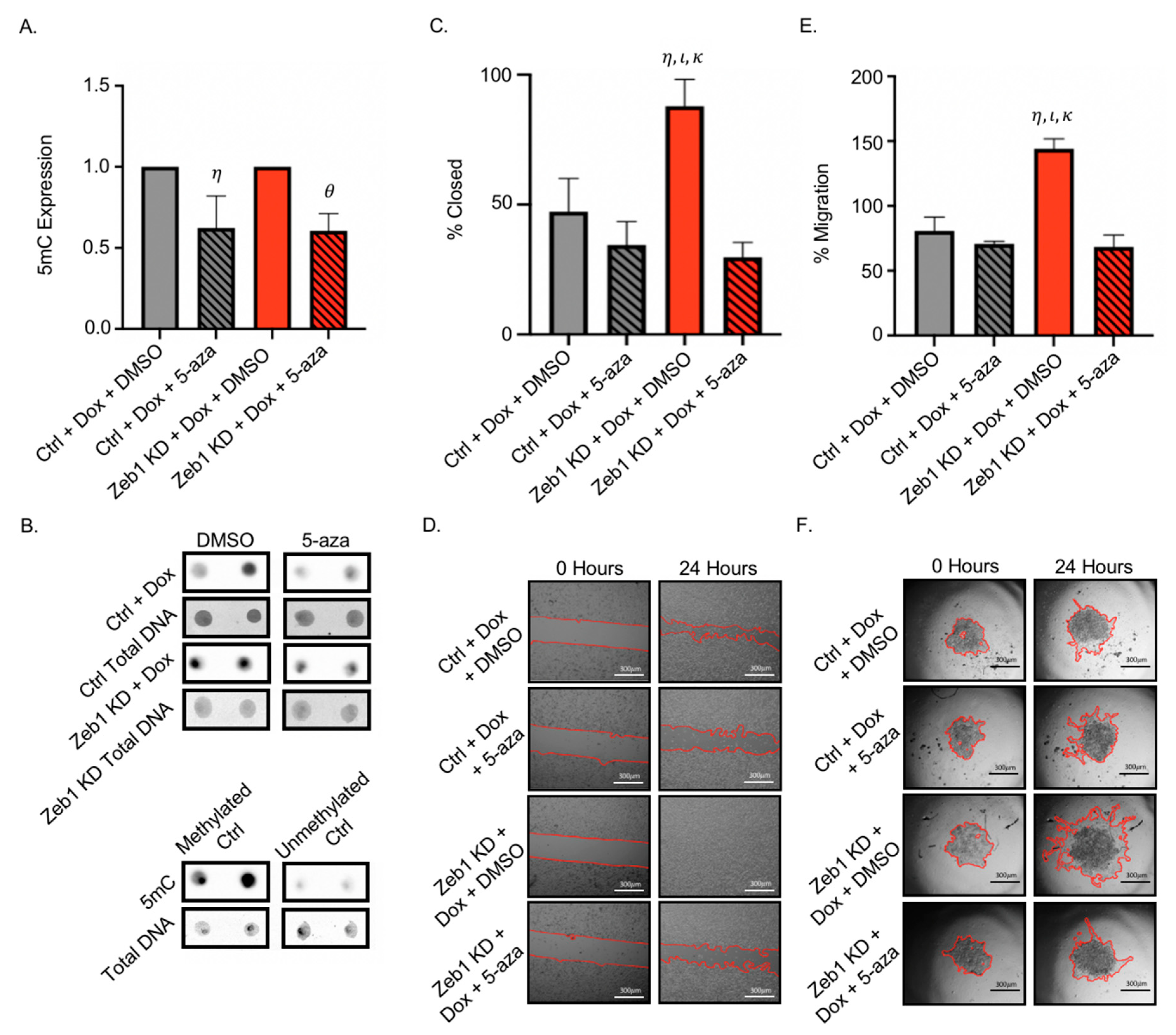 Ijms 22 12840 g005 Ijms 22 12840 g005