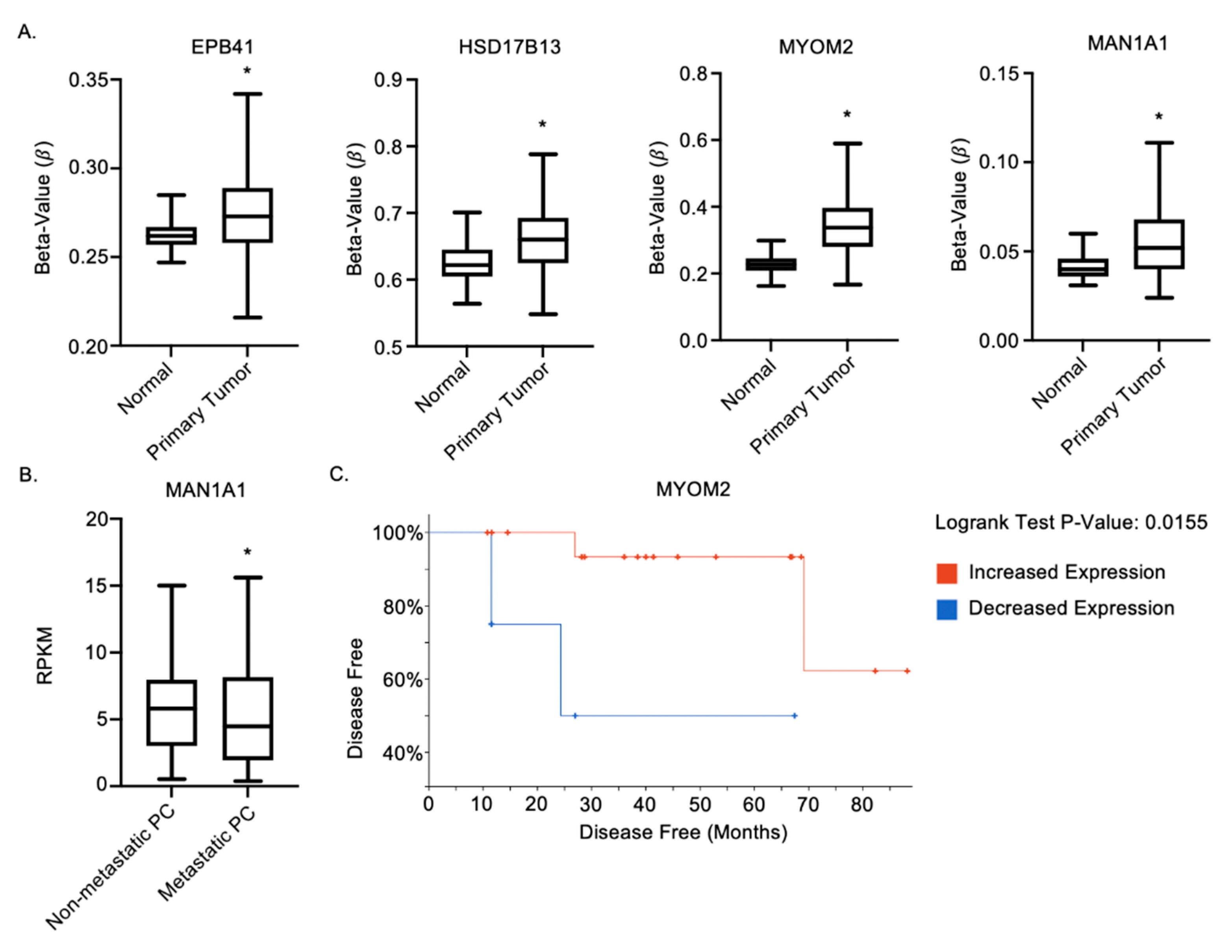Ijms 22 12840 g007 Ijms 22 12840 g007