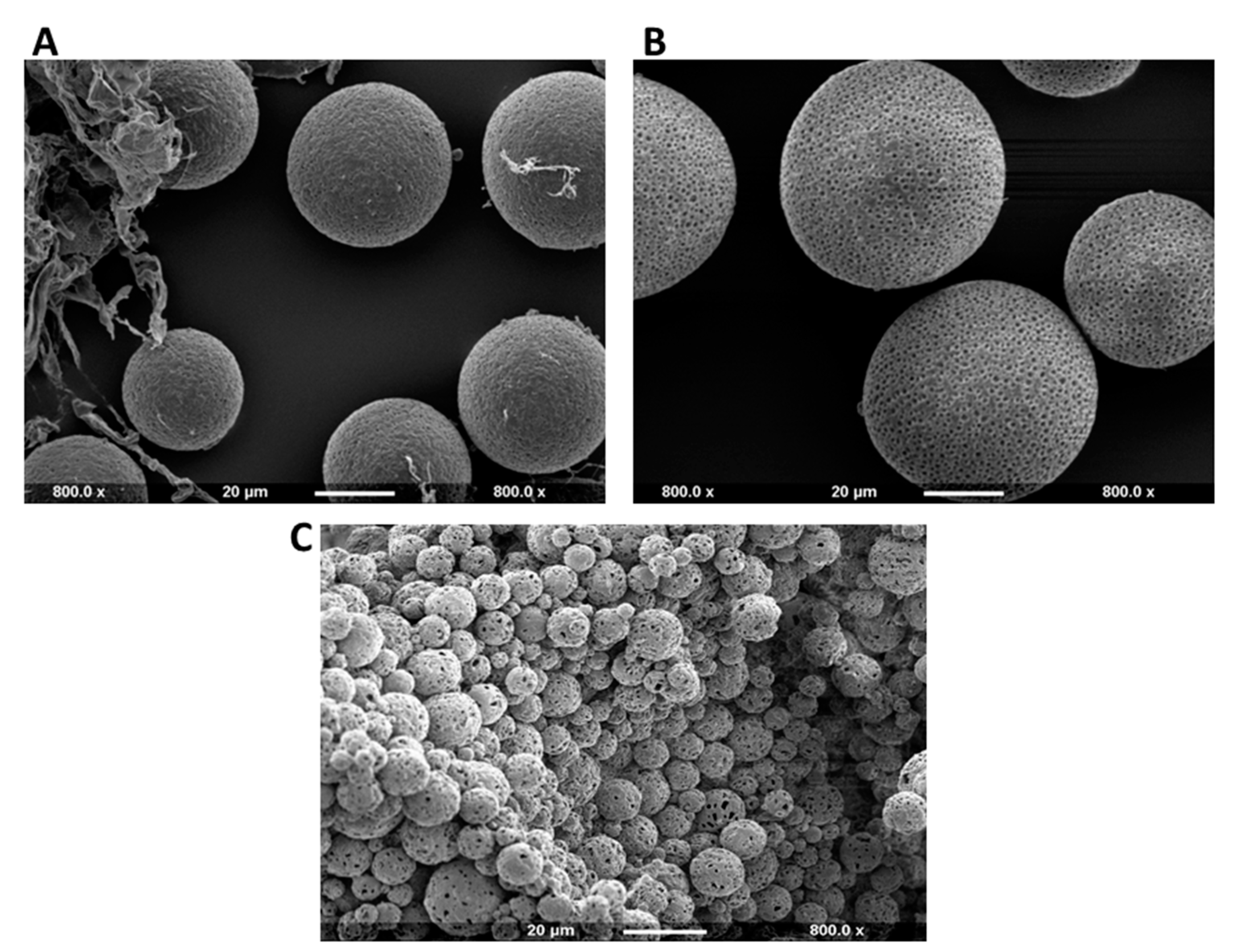 Ijms 22 12852 g001 Ijms 22 12852 g001