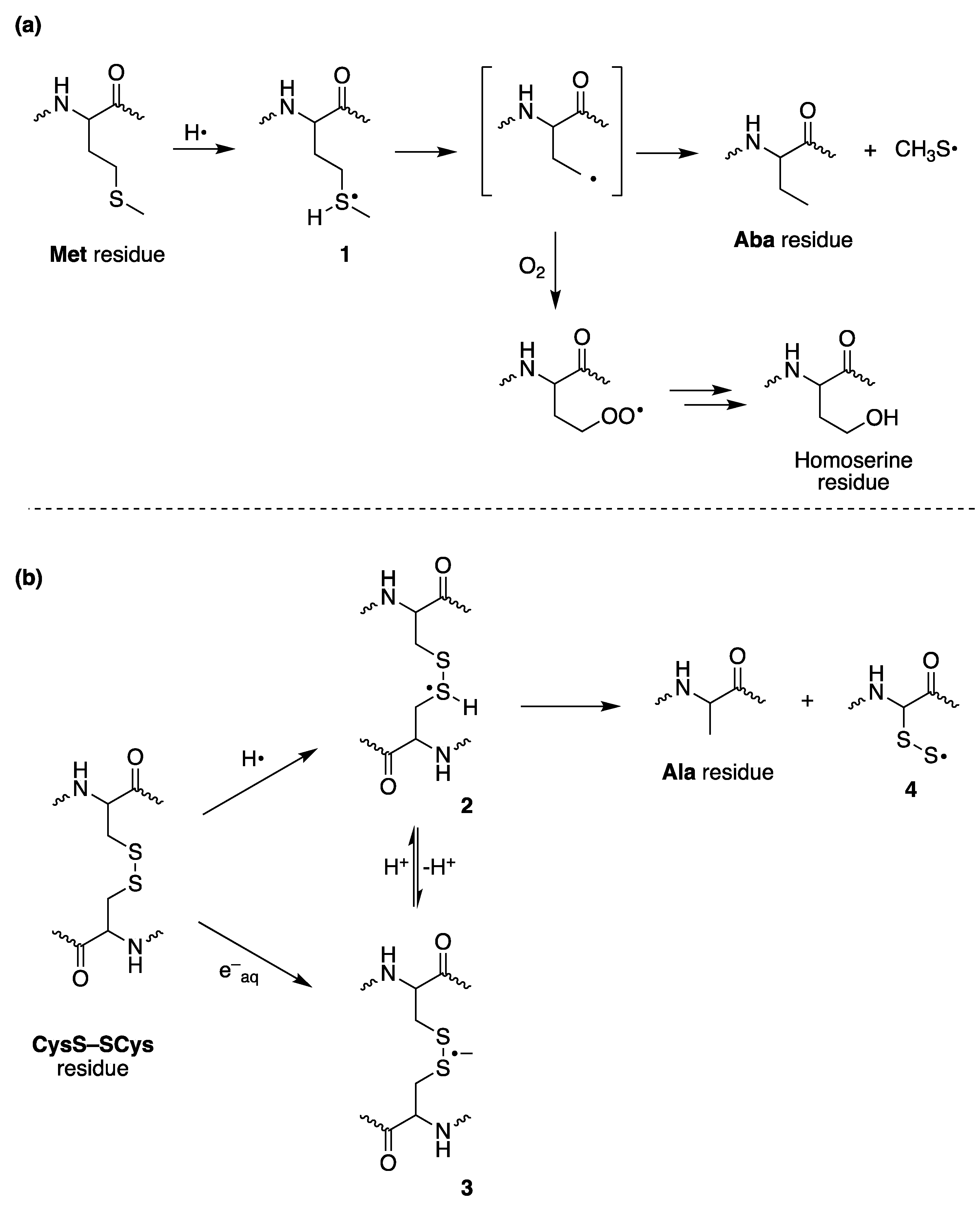 Ijms 22 12863 sch001