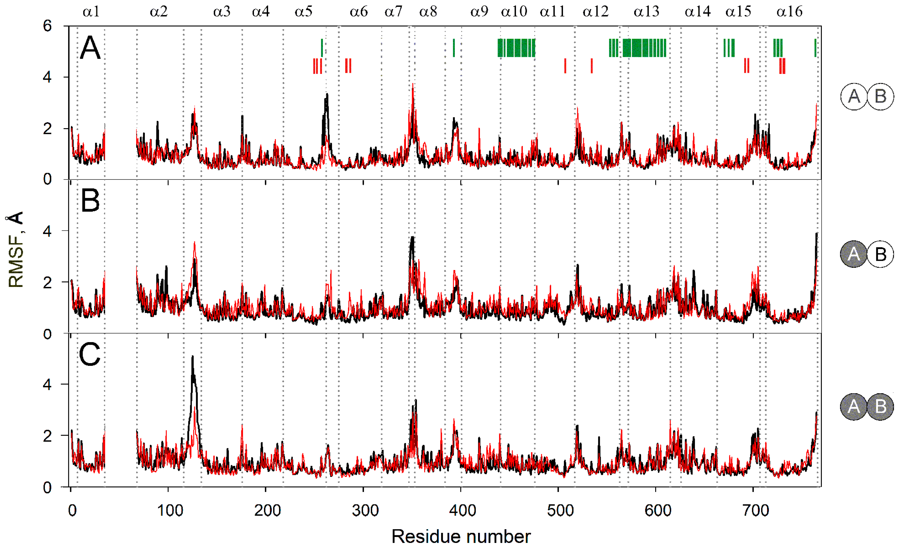 Ijms 22 12902 g004 Ijms 22 12902 g004