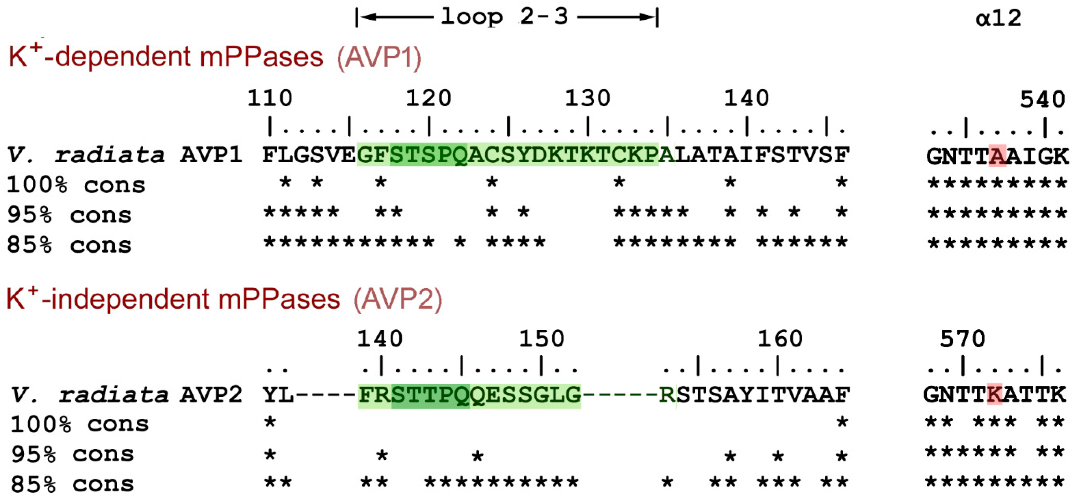 Ijms 22 12902 g007 Ijms 22 12902 g007