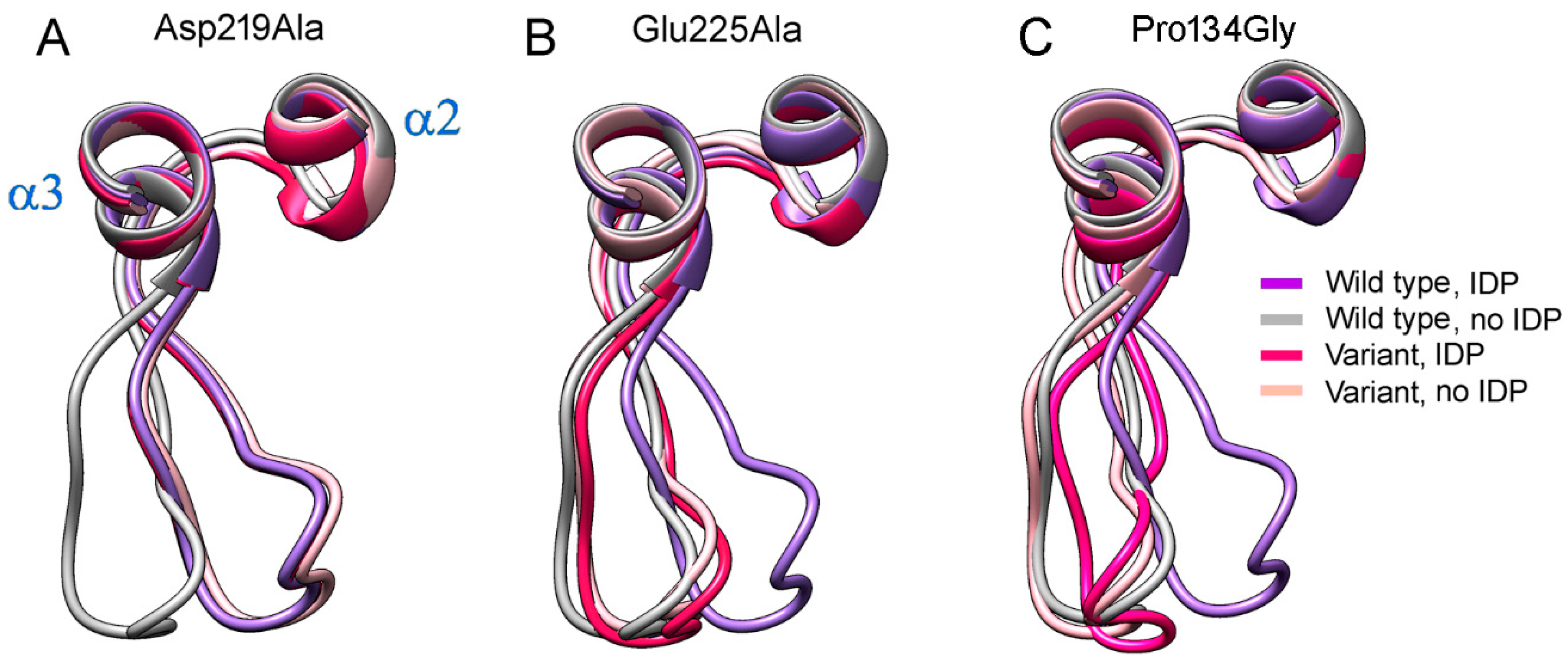Ijms 22 12902 g008 Ijms 22 12902 g008