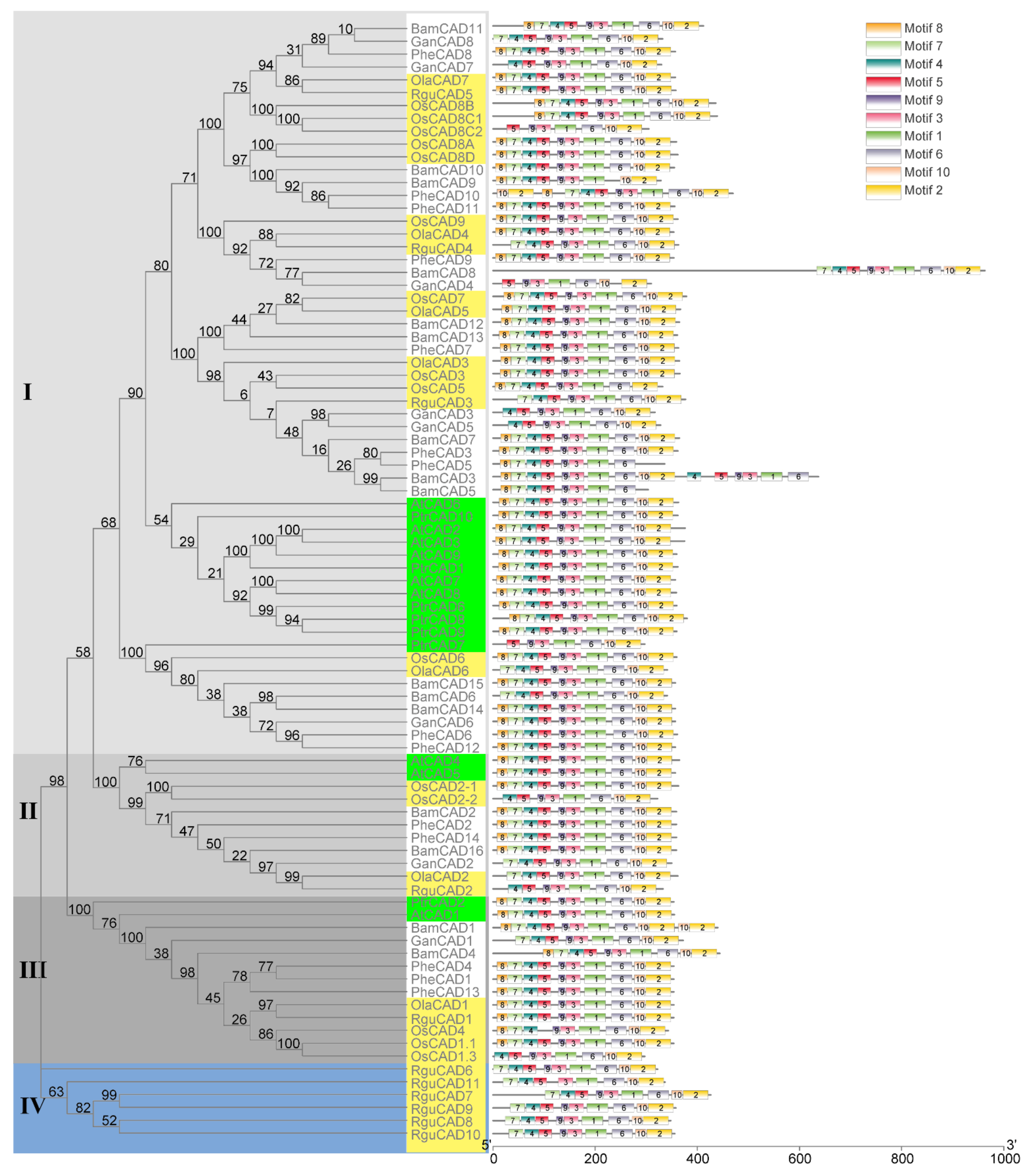 Ijms 22 12917 g001 Ijms 22 12917 g001
