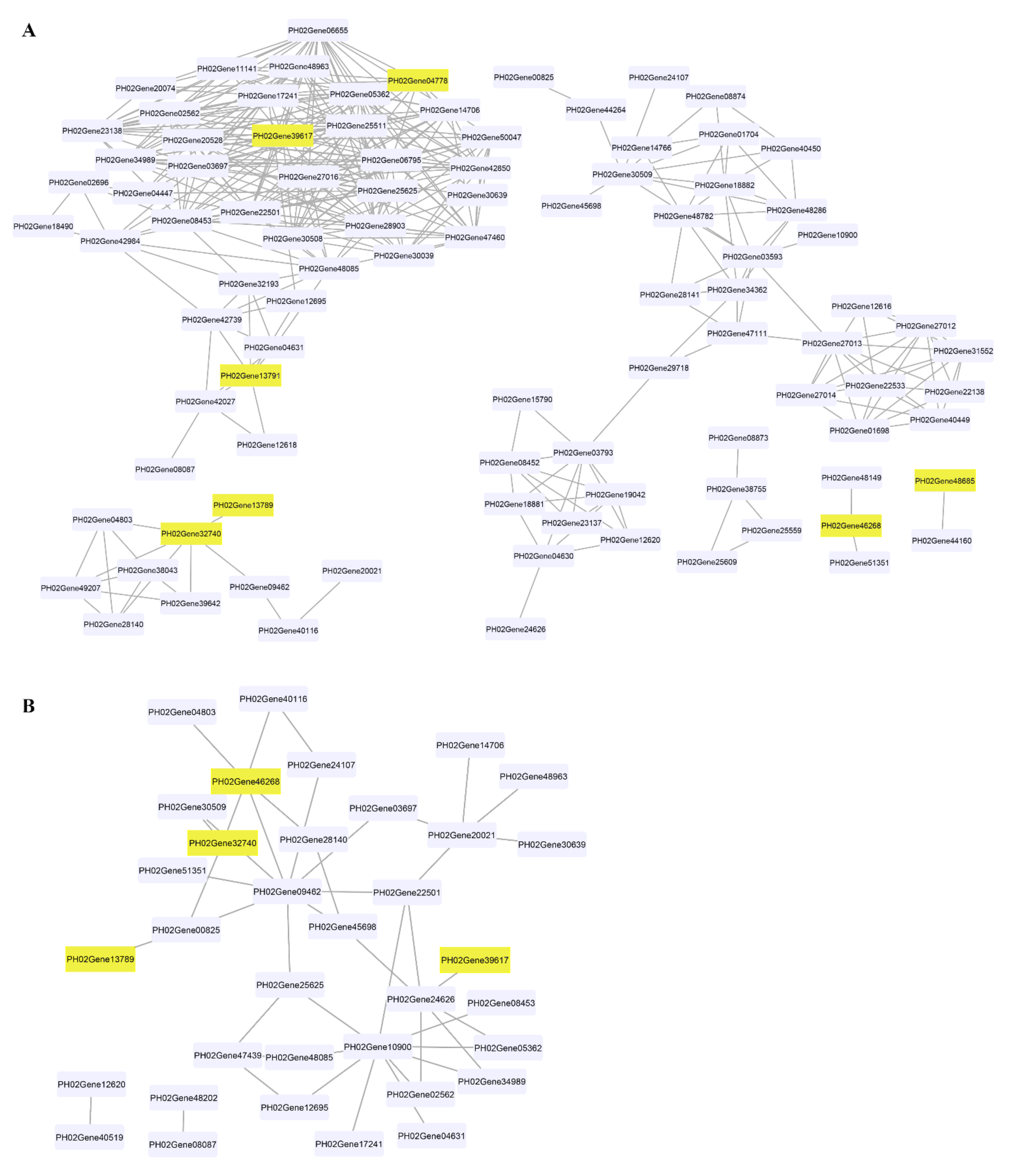 Ijms 22 12917 g004 Ijms 22 12917 g004