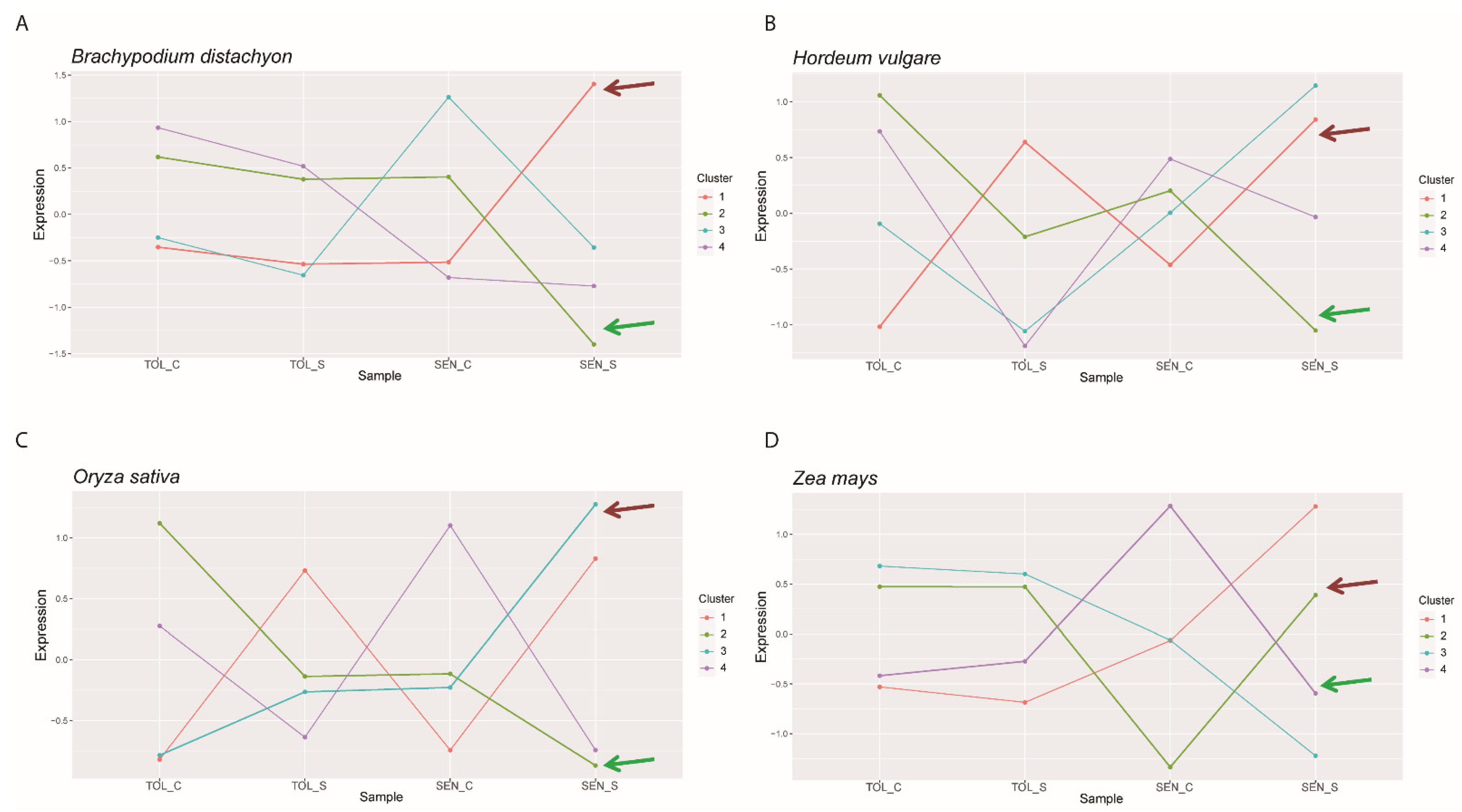 Network meta analysis