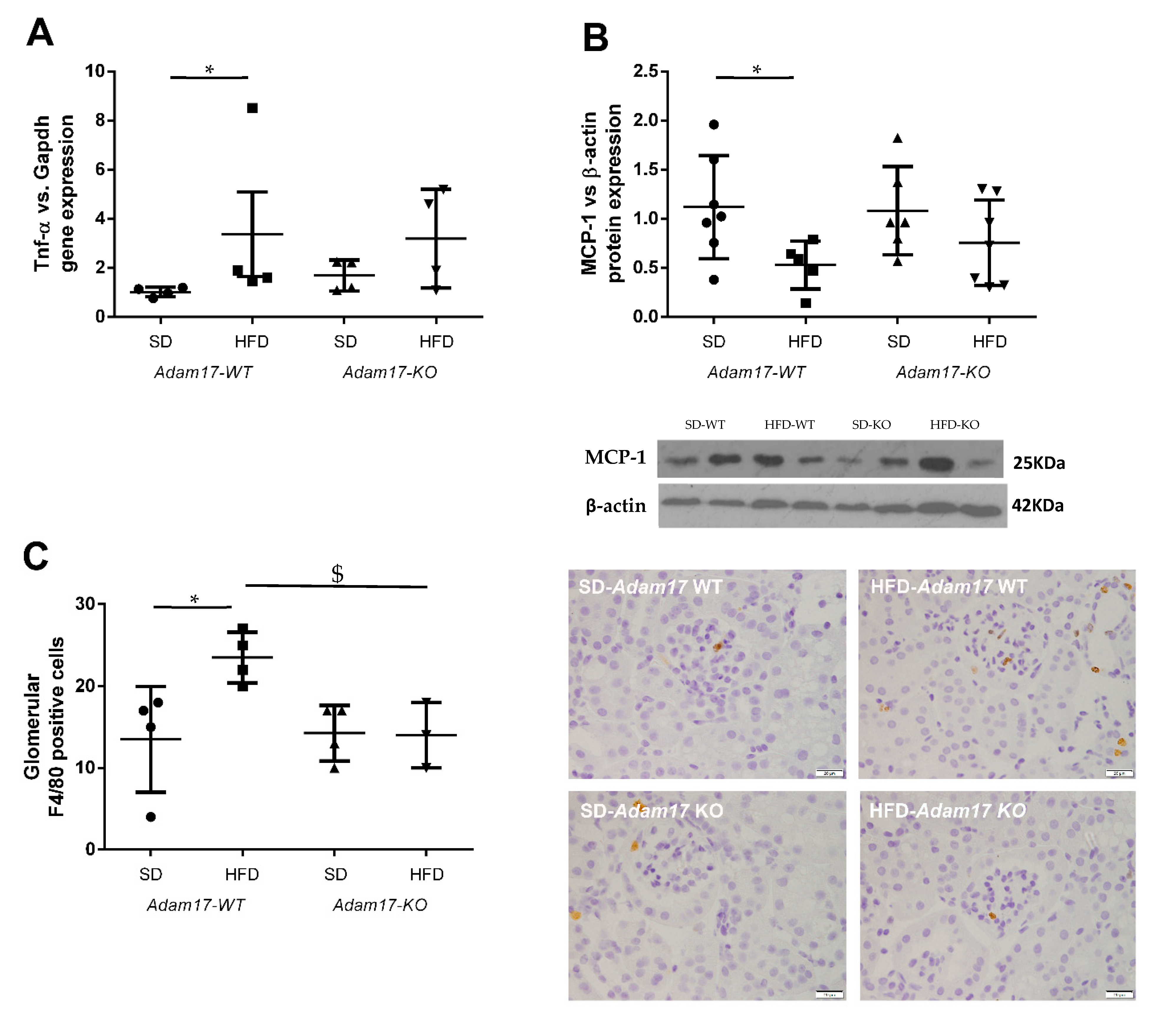 Ijms 22 13093 g004 Ijms 22 13093 g004